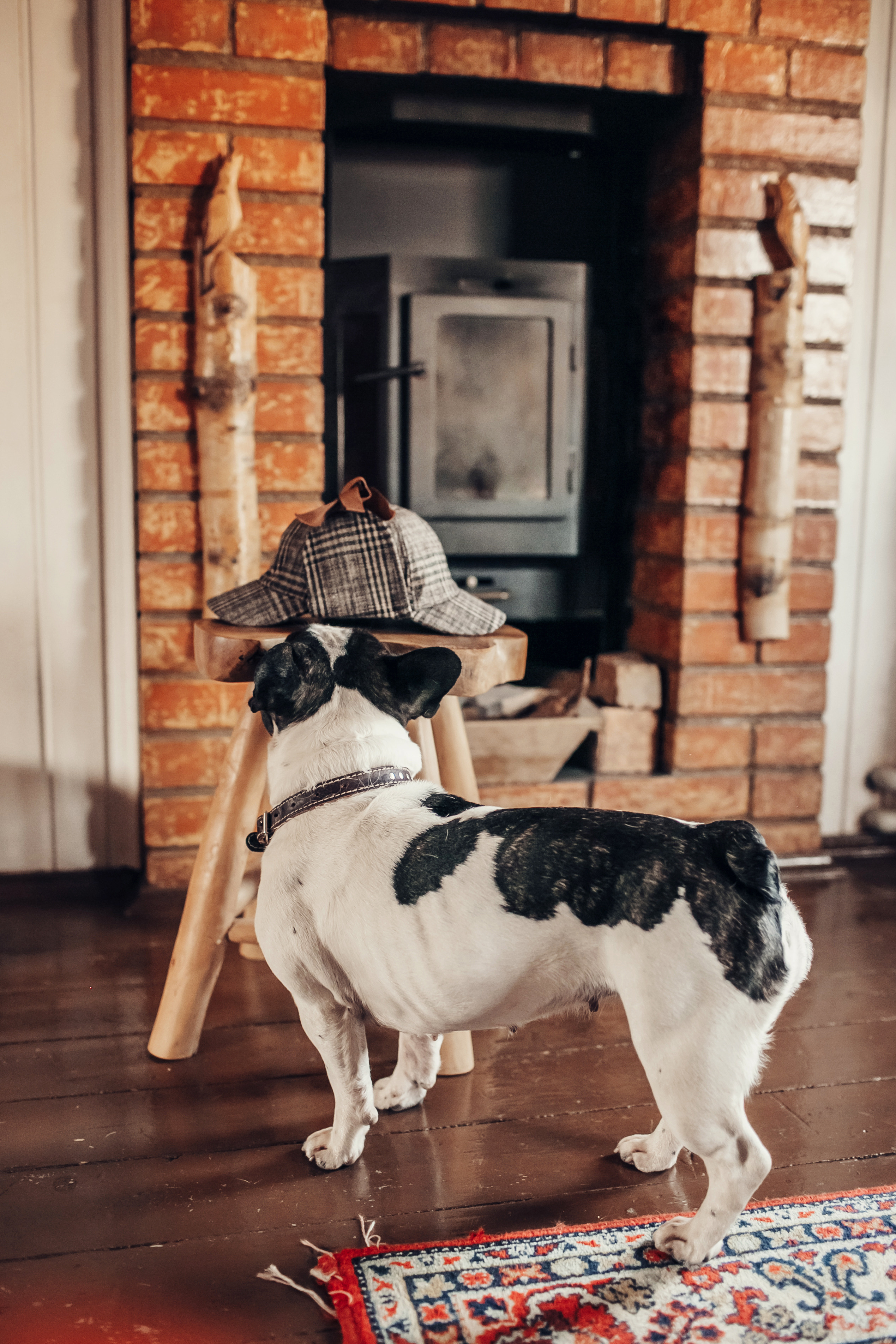 Люся, Андрей, Ян и Софа. Детский и семейный фотограф в Москве Анна Ипатьева
