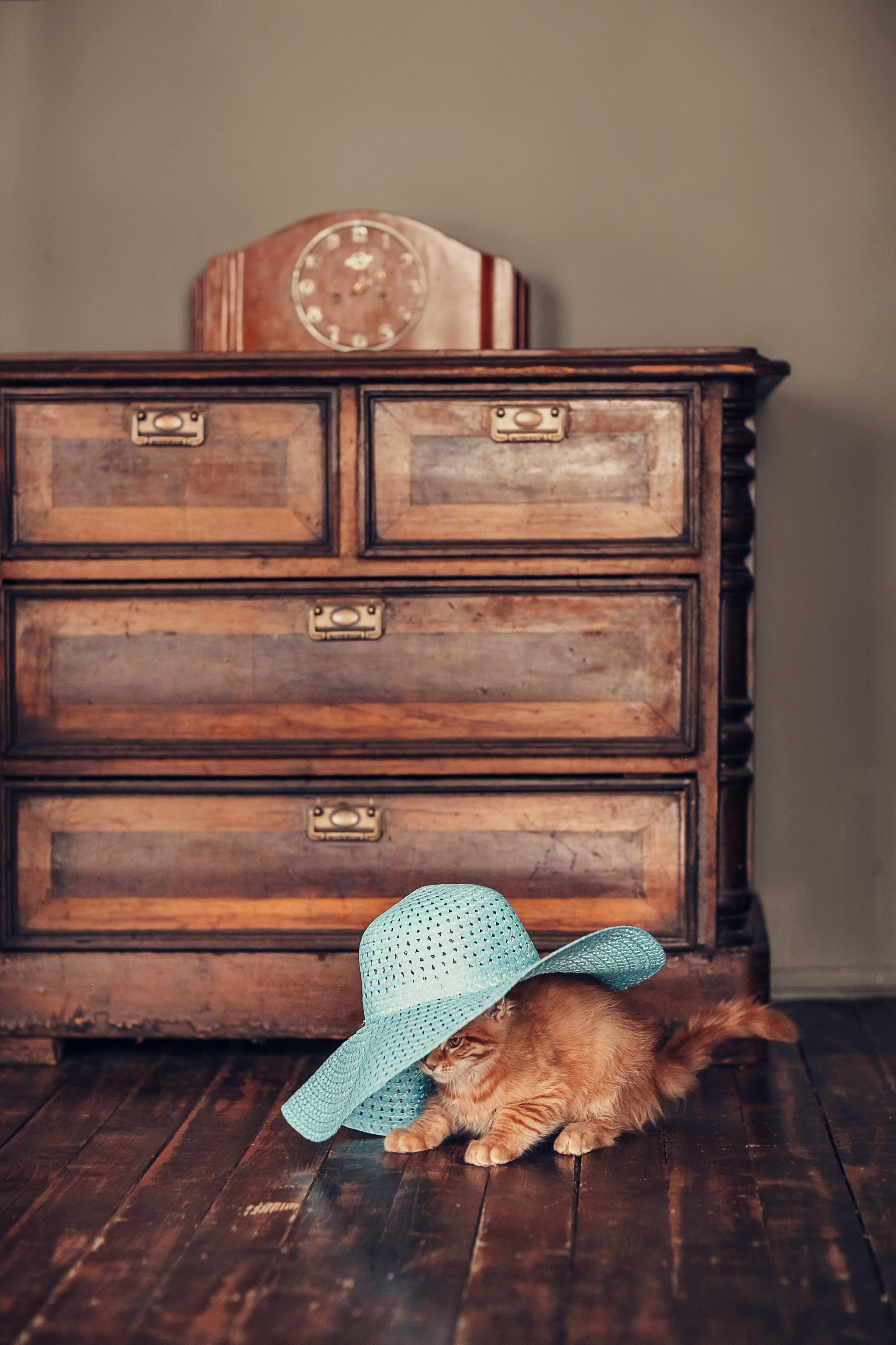 Живая Шляпа. Детский и семейный фотограф в Москве Анна Ипатьева