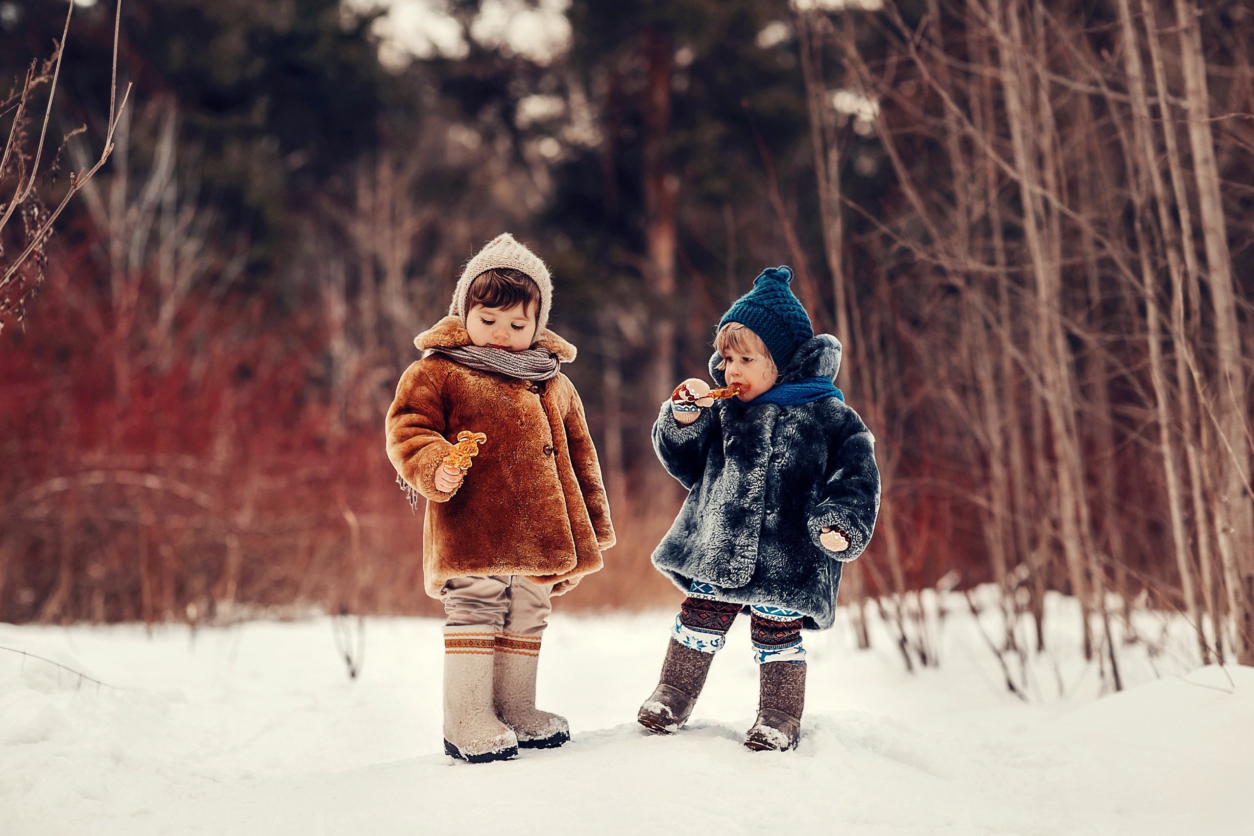 Скворечники. Детский и семейный фотограф в Москве Анна Ипатьева