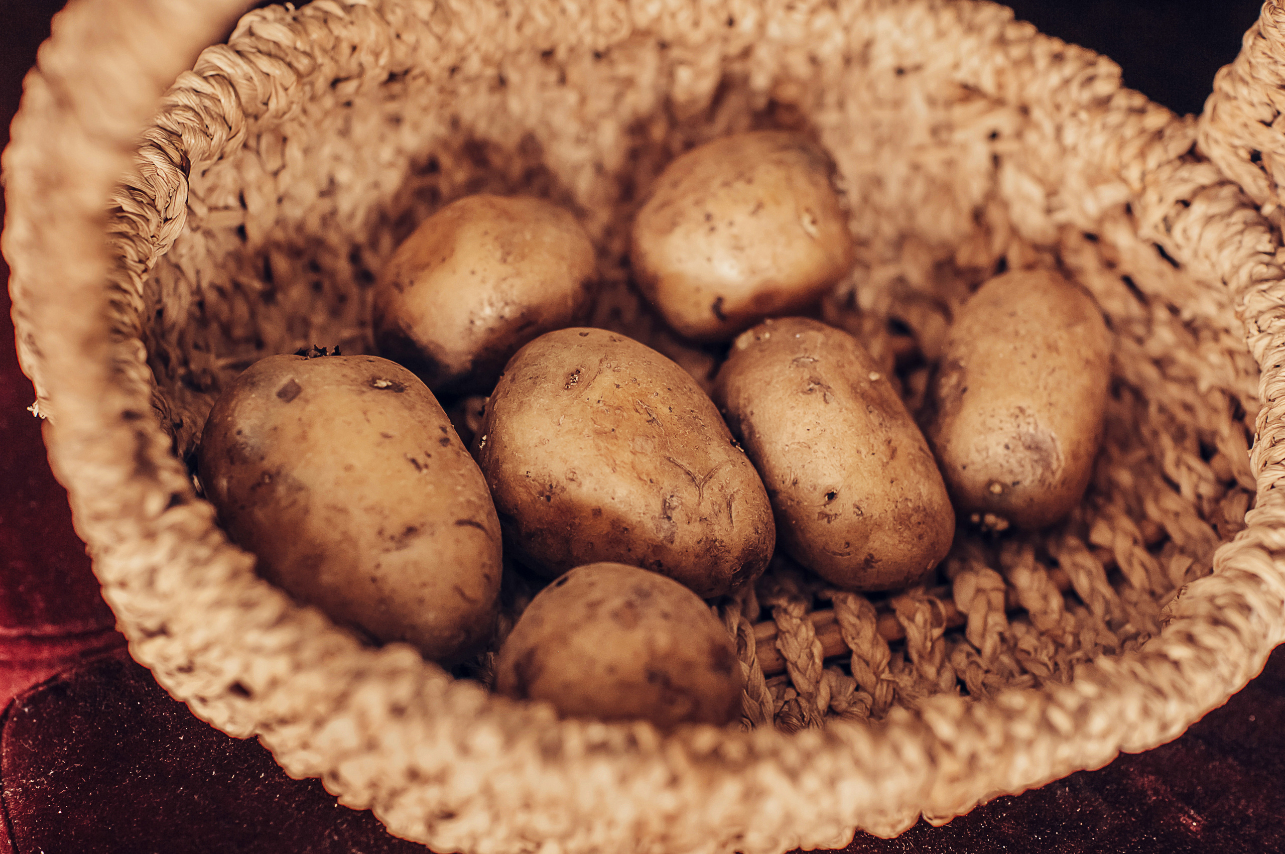 Живая Шляпа. Детский и семейный фотограф в Москве Анна Ипатьева