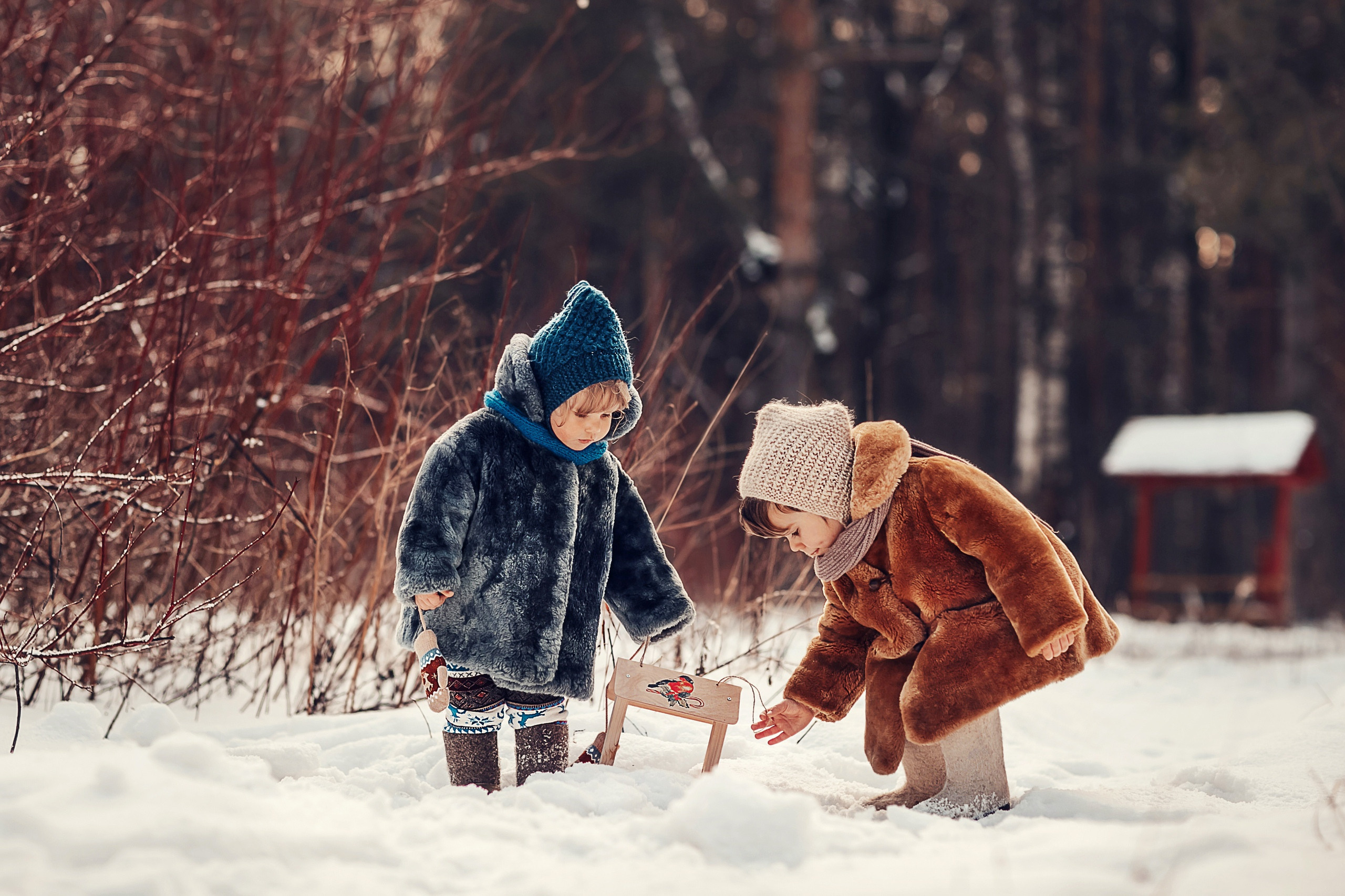 Скворечники. Детский и семейный фотограф в Москве Анна Ипатьева