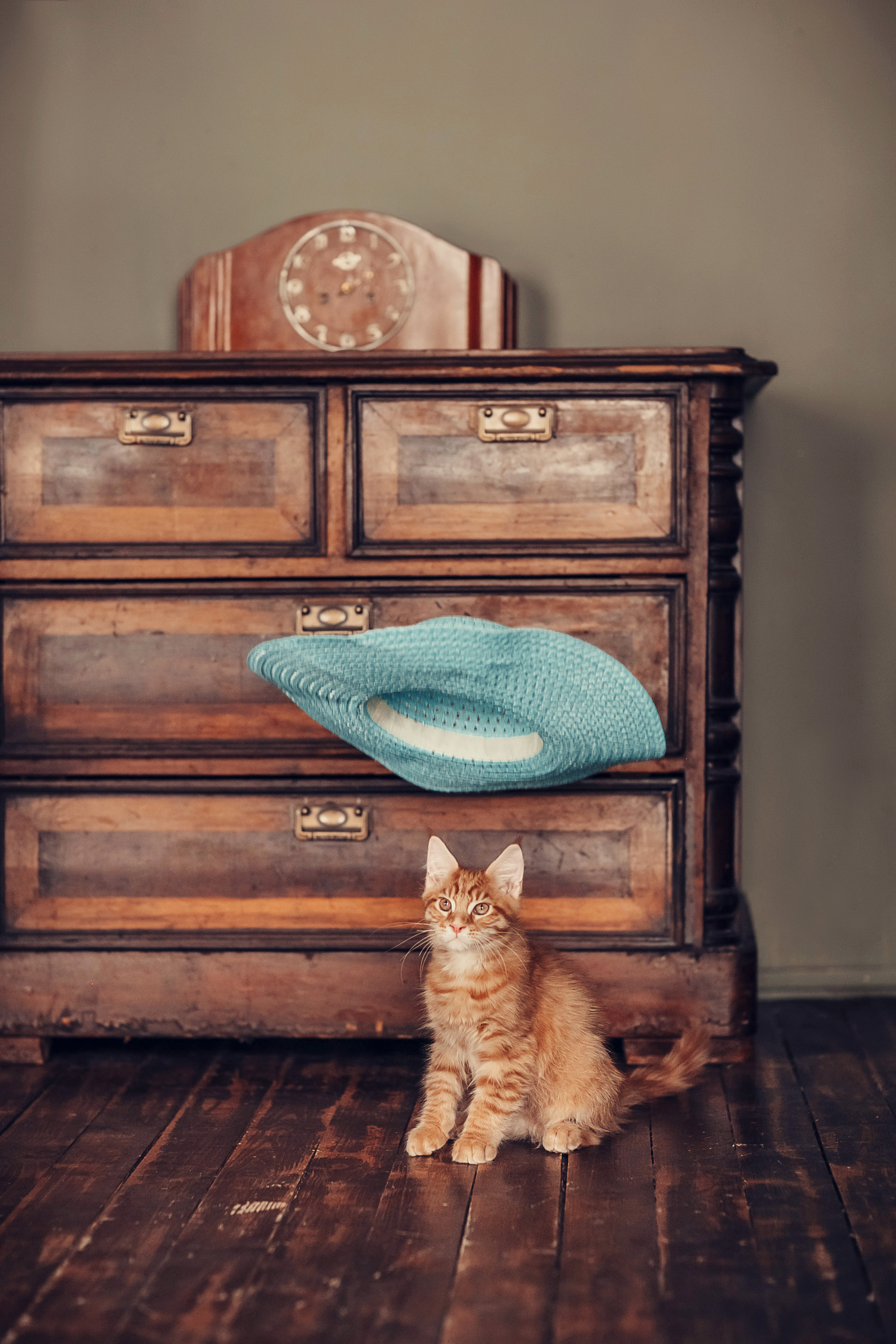 Живая Шляпа. Детский и семейный фотограф в Москве Анна Ипатьева