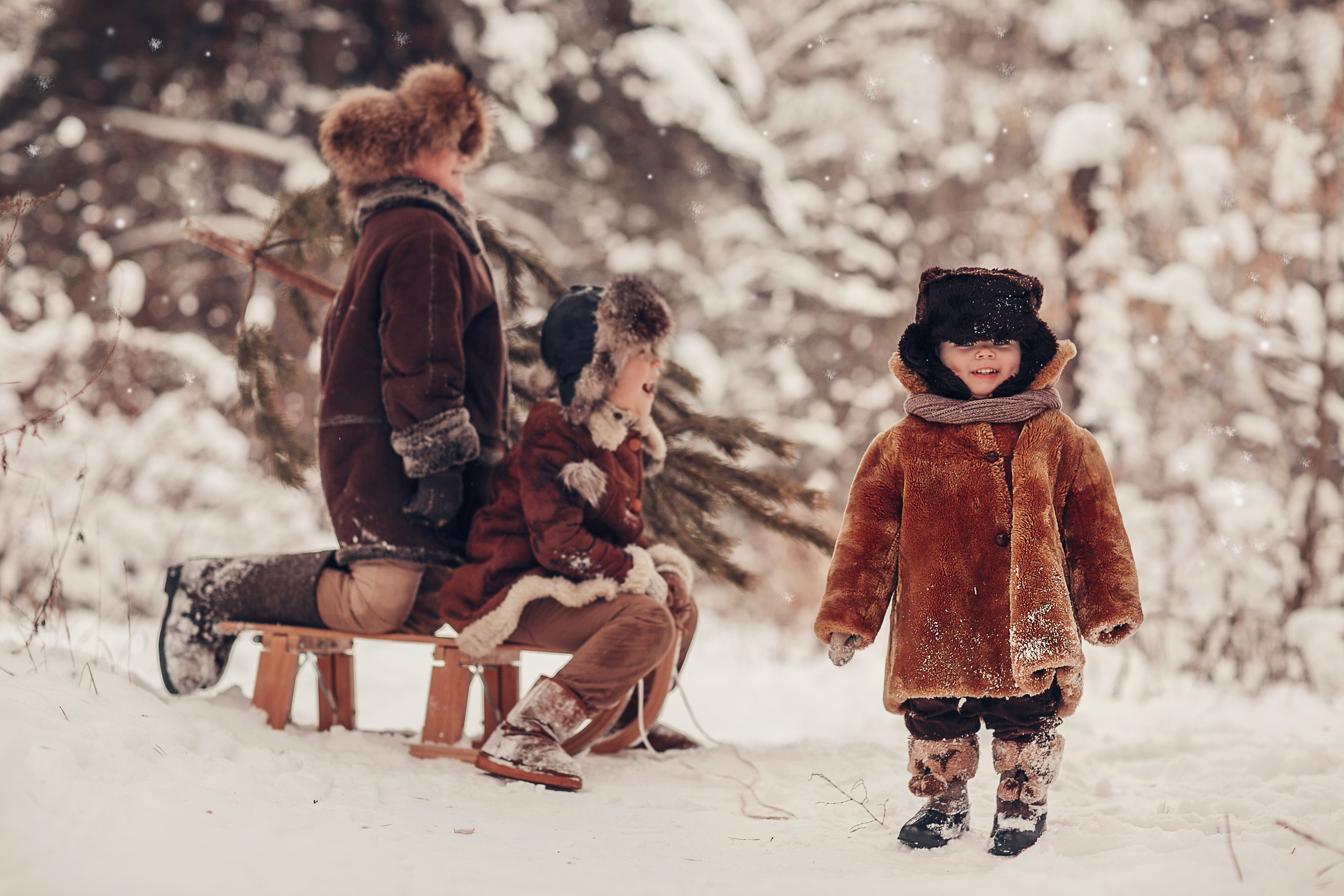 За ёлкой. Детский и семейный фотограф в Москве Анна Ипатьева