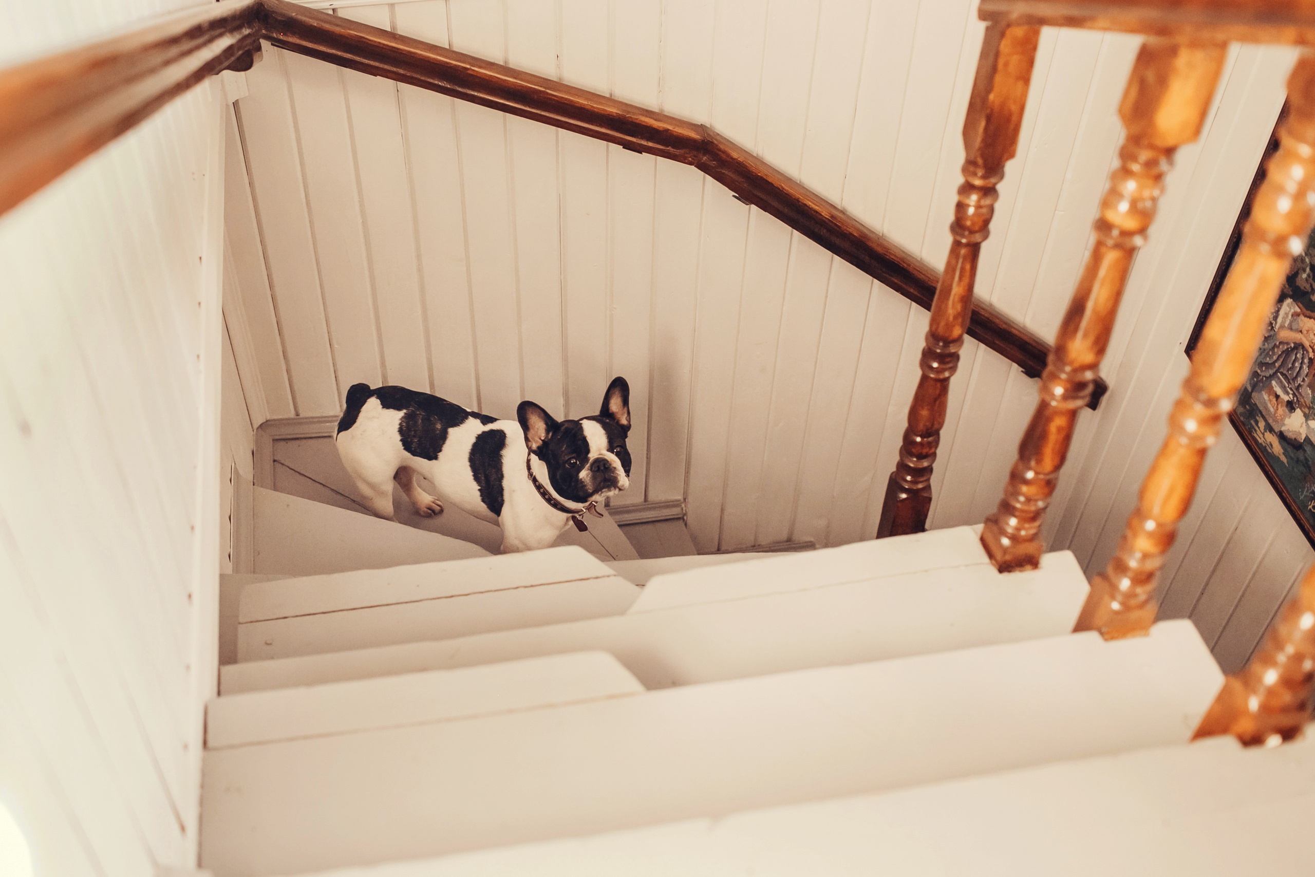 Люся, Андрей, Ян и Софа. Детский и семейный фотограф в Москве Анна Ипатьева