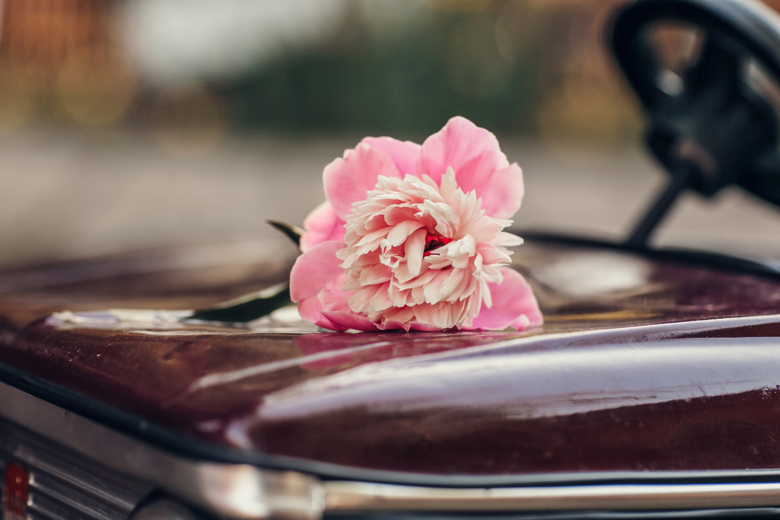 Семейный портрет. Детский и семейный фотограф в Москве Анна Ипатьева