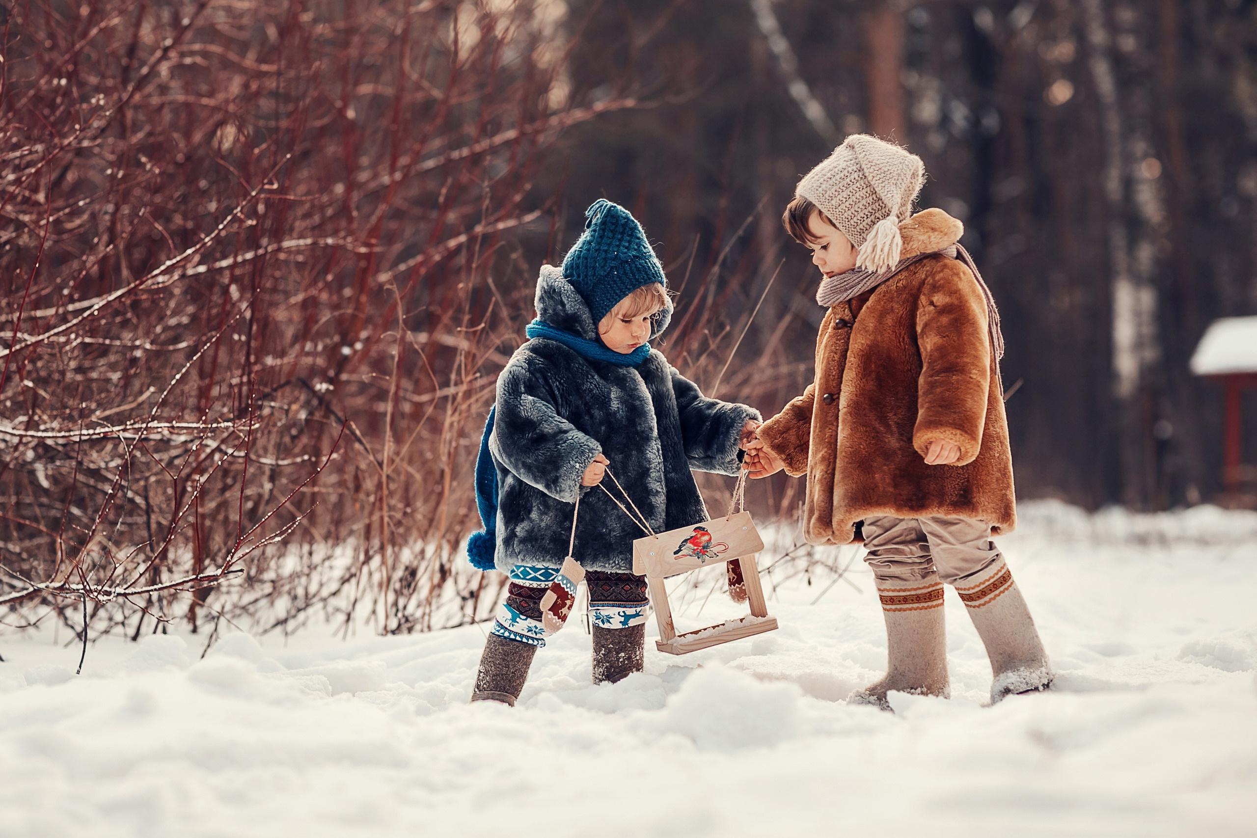 Скворечники. Детский и семейный фотограф в Москве Анна Ипатьева