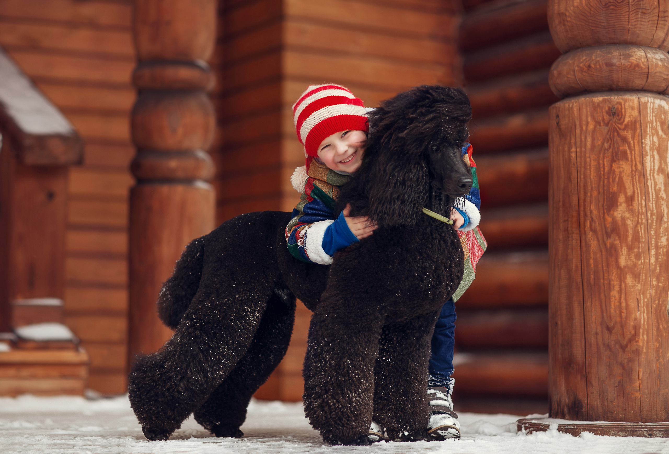Зимний Буратино. Детский и семейный фотограф в Москве Анна Ипатьева