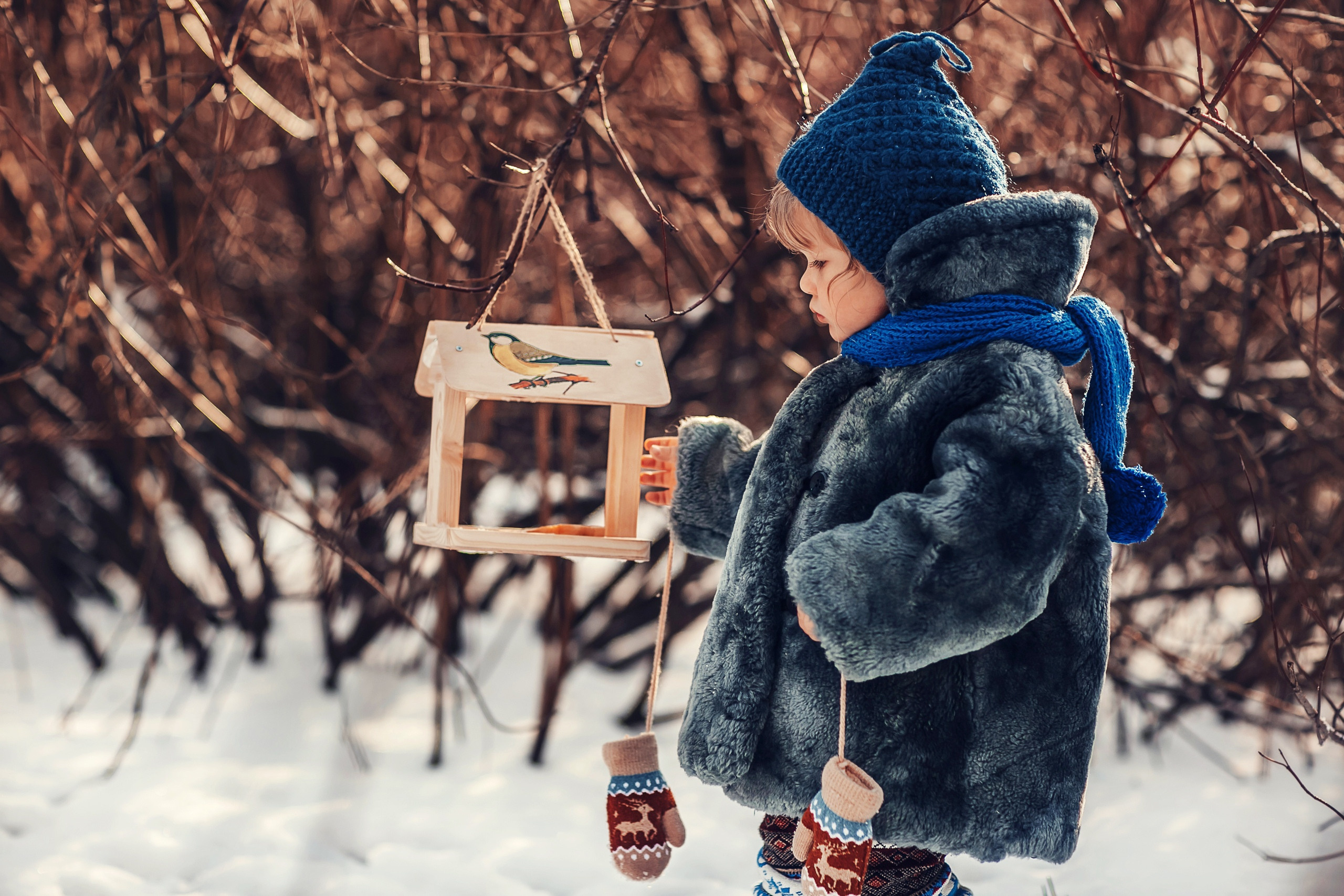 Скворечники. Детский и семейный фотограф в Москве Анна Ипатьева