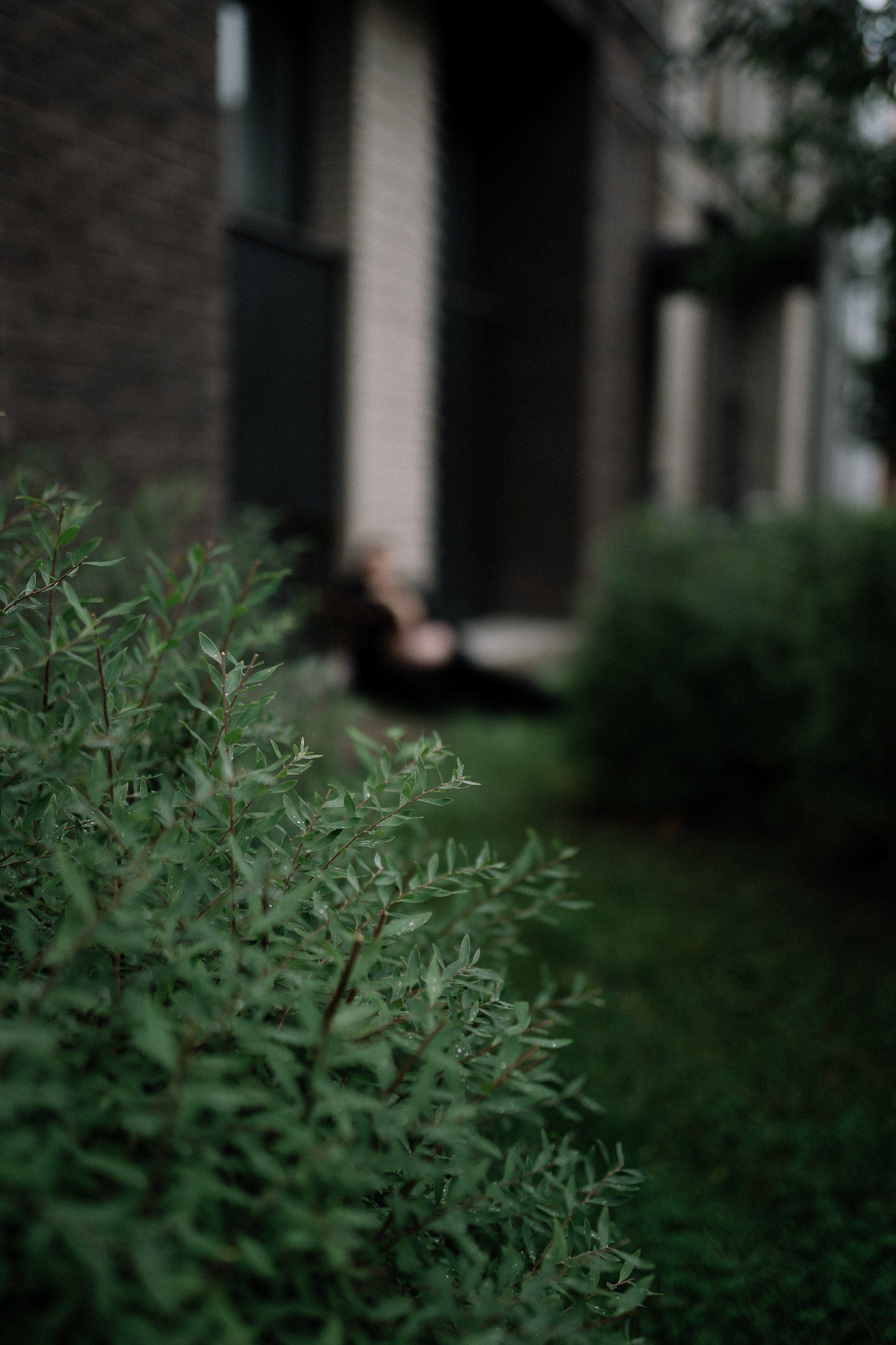 И грянул гром. Андрейко Надежда