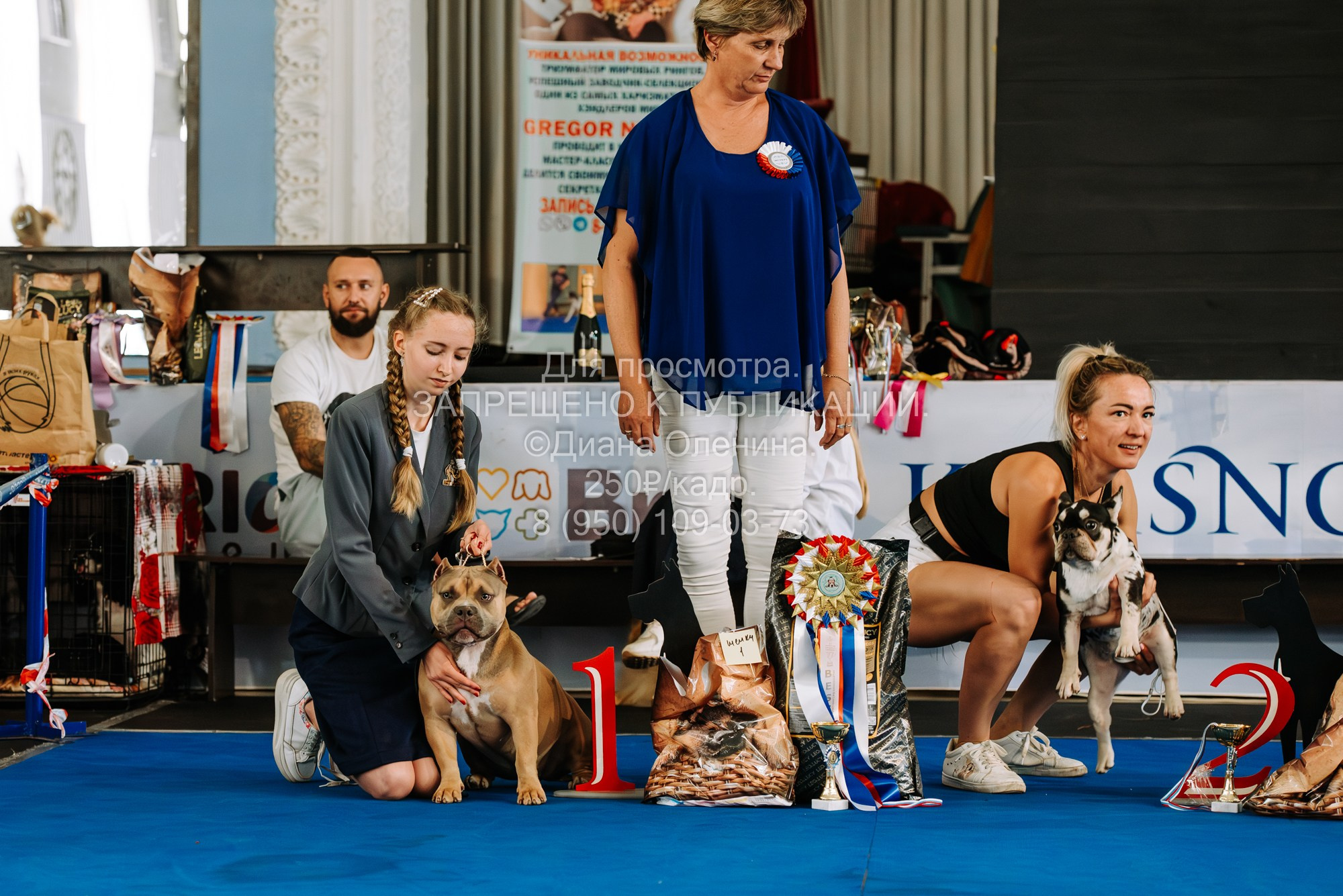 Национальная выставка собак всех пород ранга САС-IKU «Кубок Красноярск. Фотограф Диана Оленина Красноярск / Братск