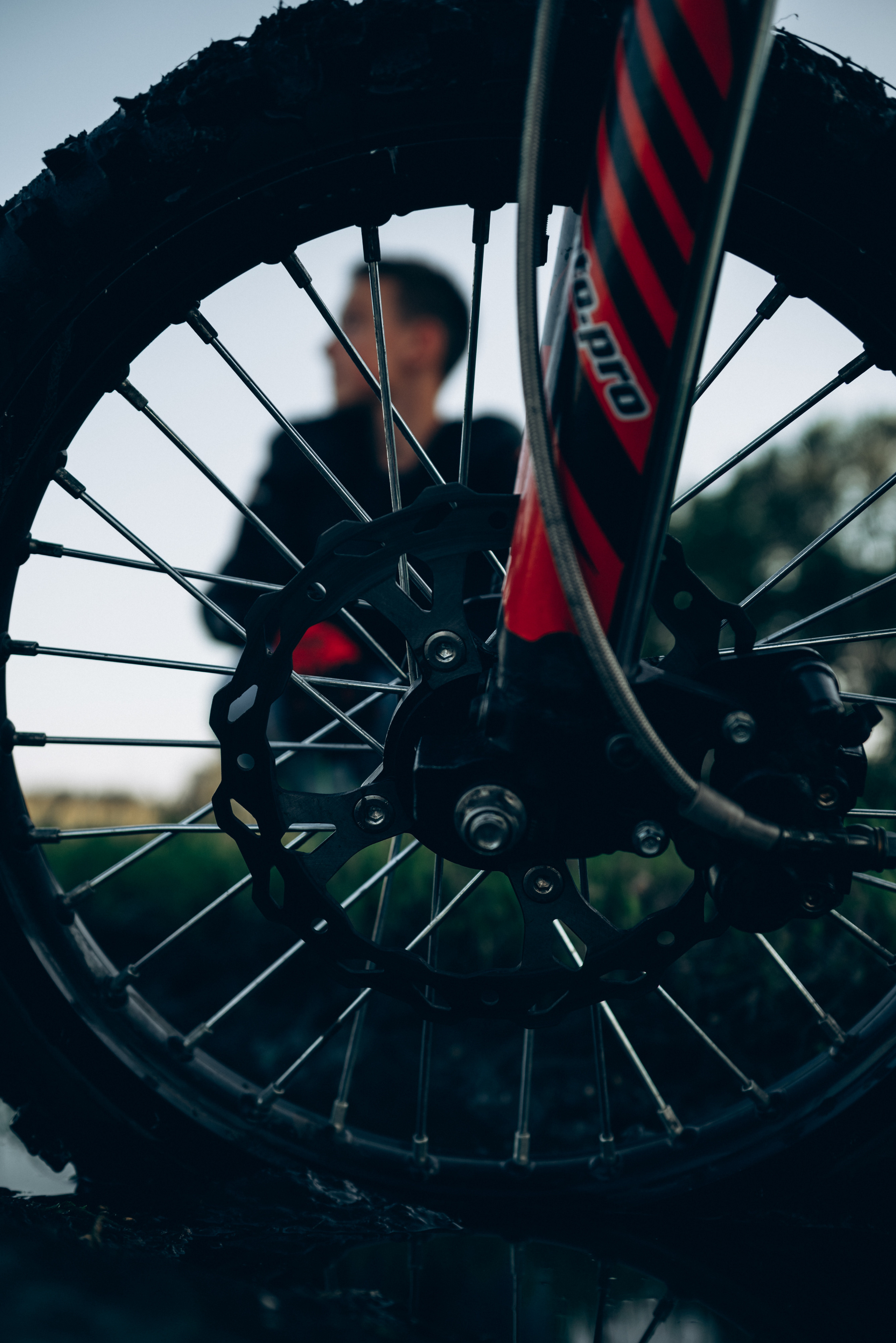 Dimon (moto). Семейный и детский фотограф в Белгороде Ольга Сорока