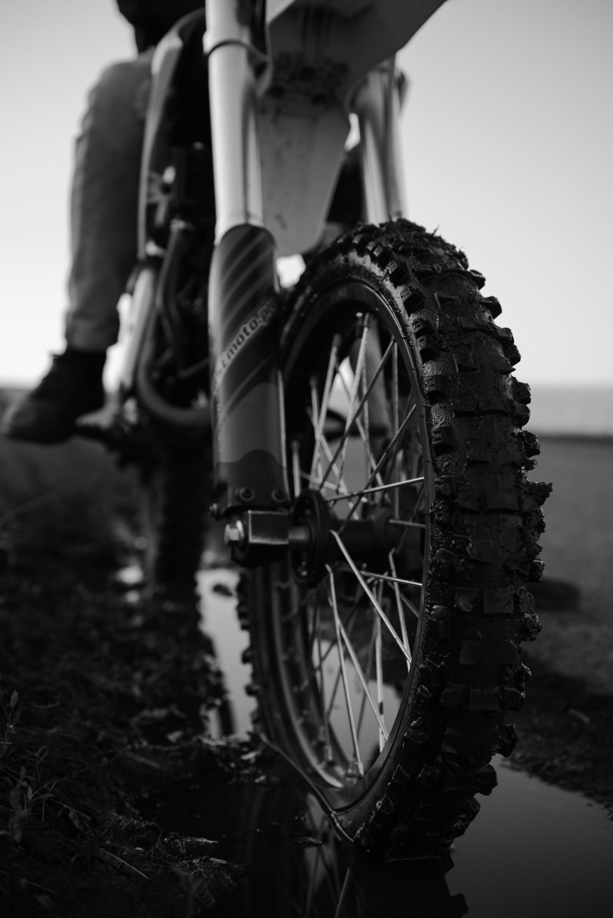 Dimon (moto). Семейный и детский фотограф в Белгороде Ольга Сорока