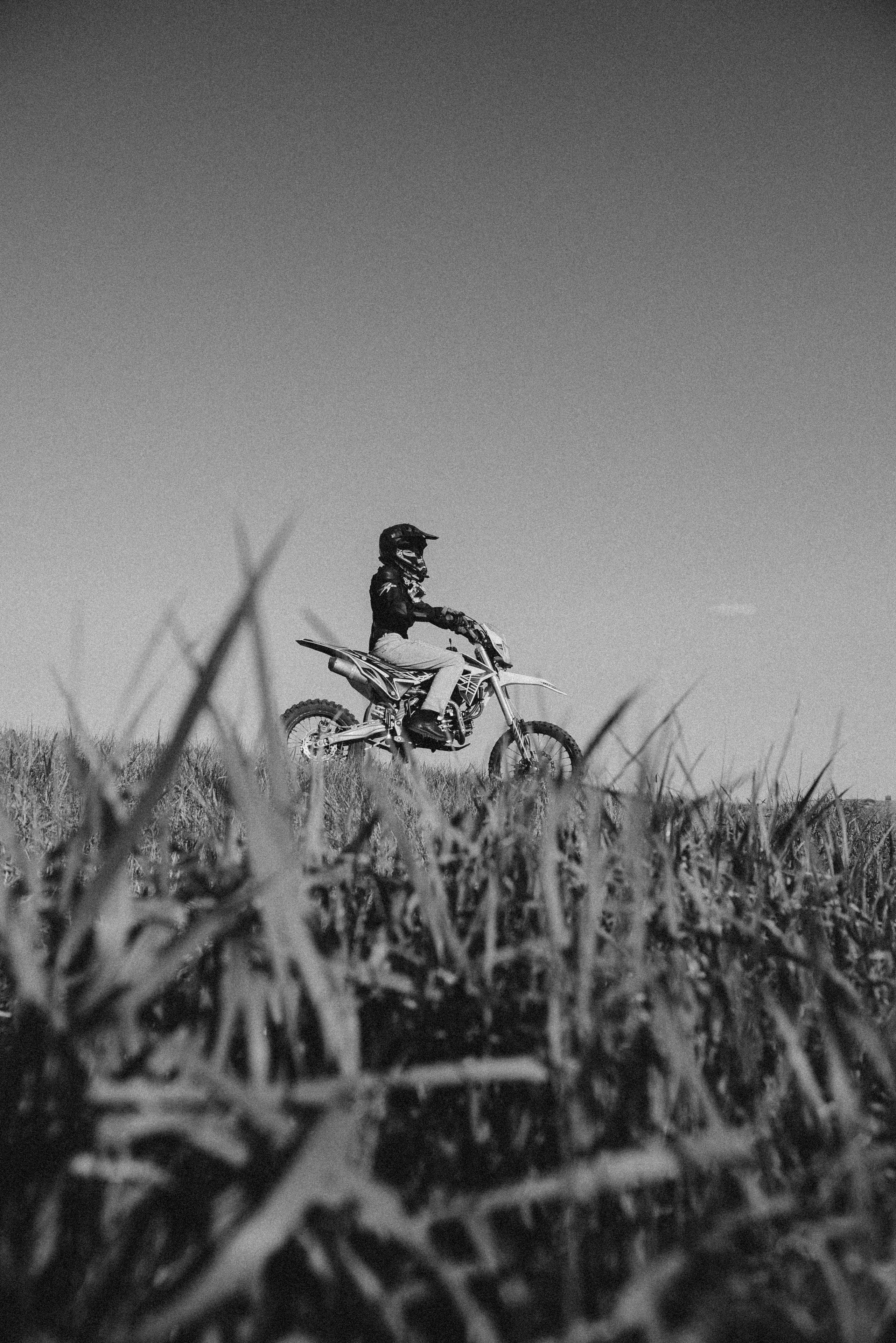 Dimon (moto). Семейный и детский фотограф в Белгороде Ольга Сорока