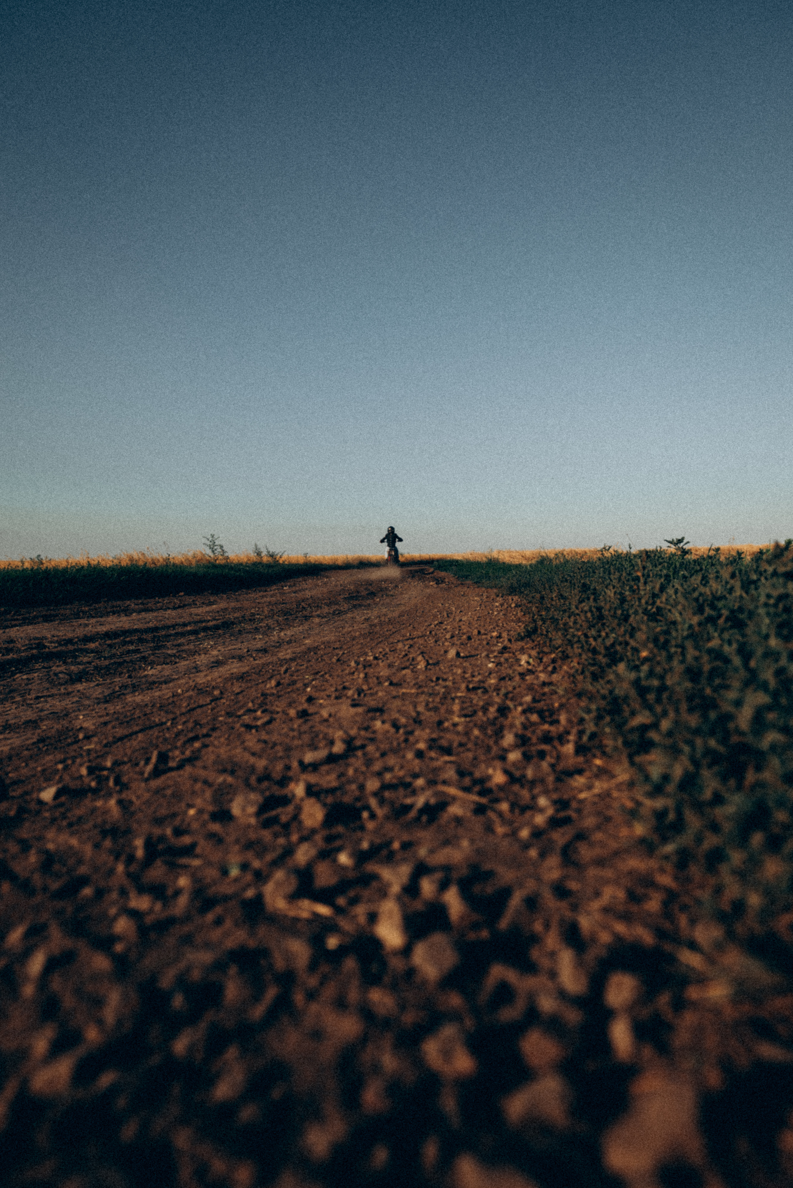 Dimon (moto). Семейный и детский фотограф в Белгороде Ольга Сорока