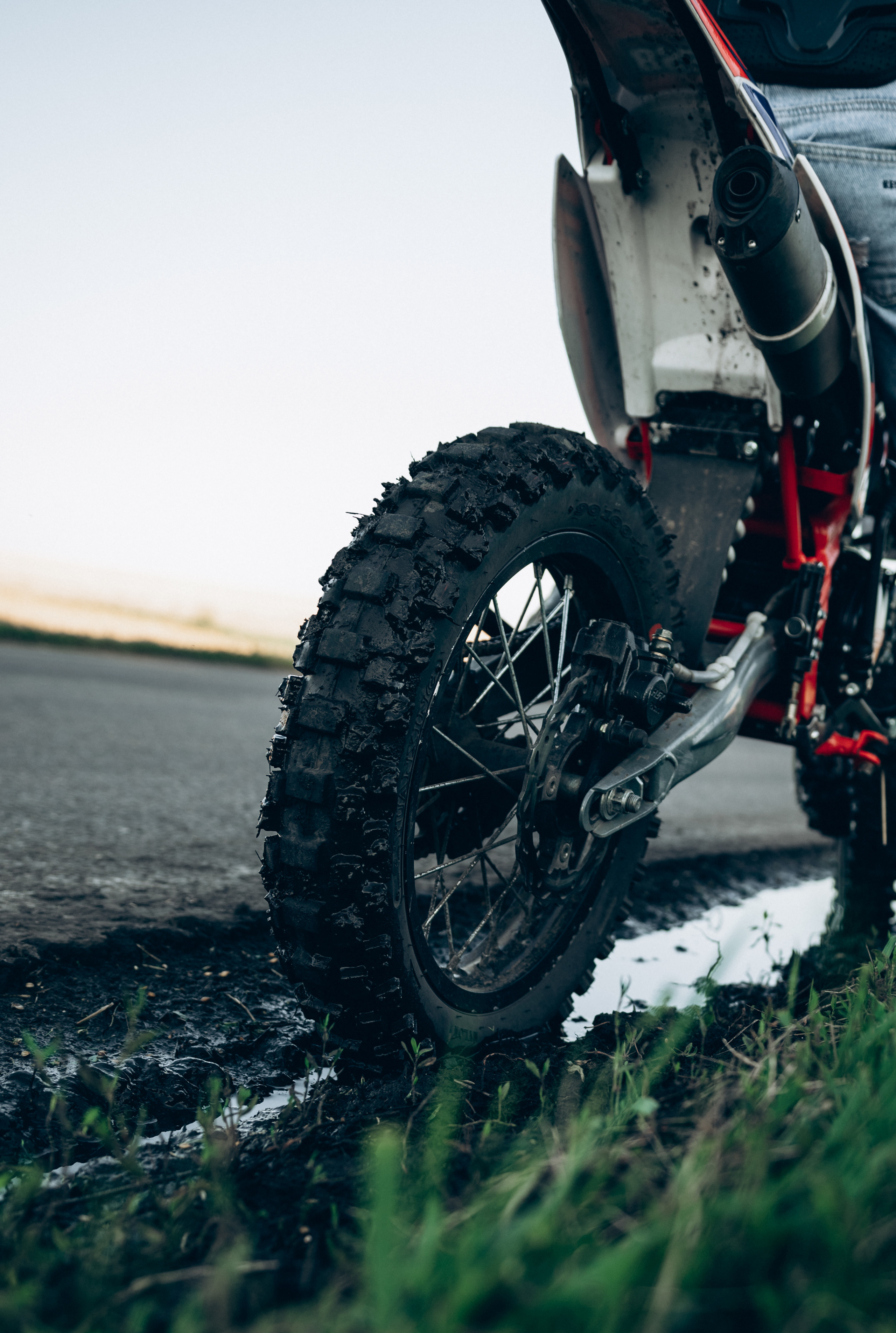 Dimon (moto). Семейный и детский фотограф в Белгороде Ольга Сорока