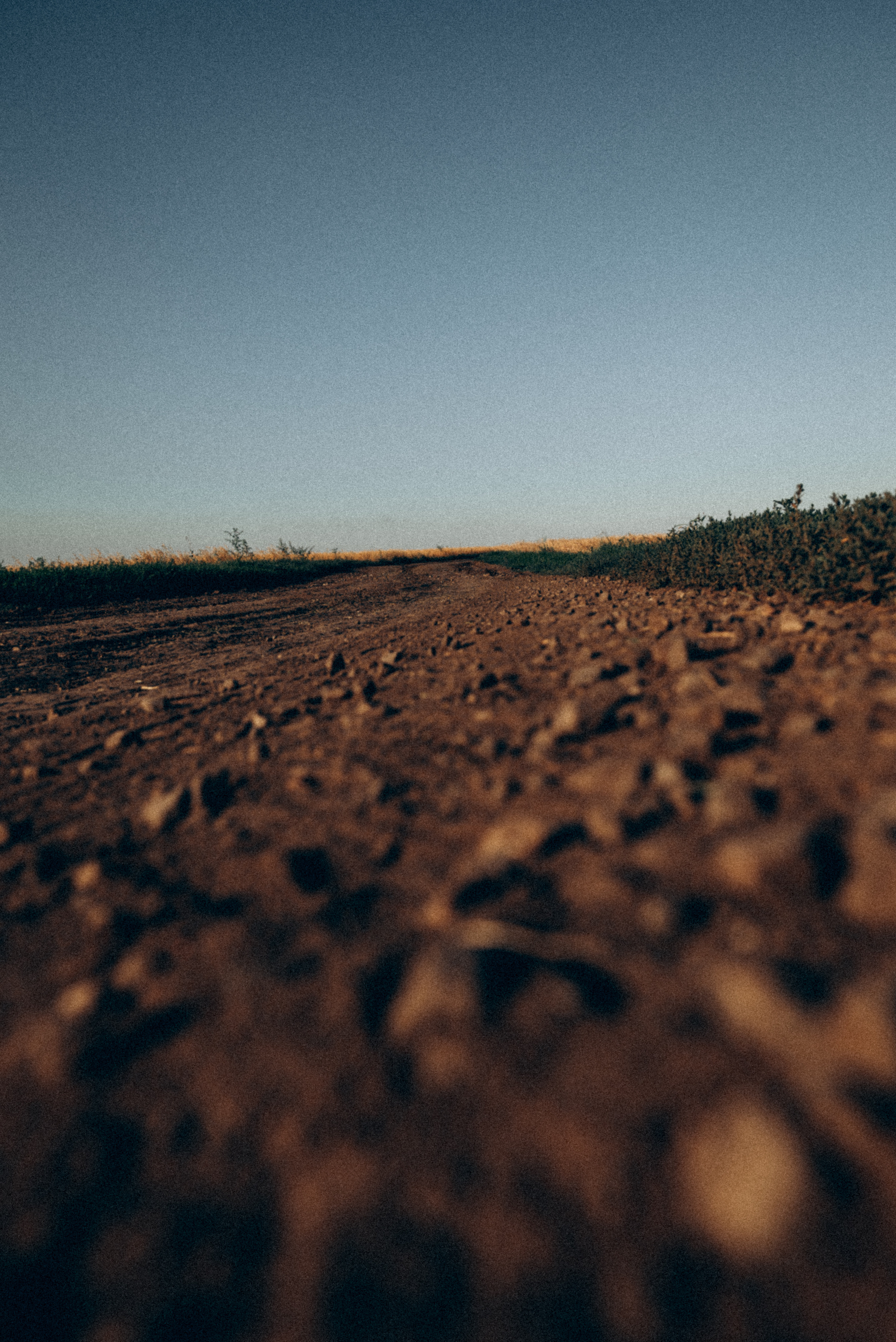 Dimon (moto). Семейный и детский фотограф в Белгороде Ольга Сорока