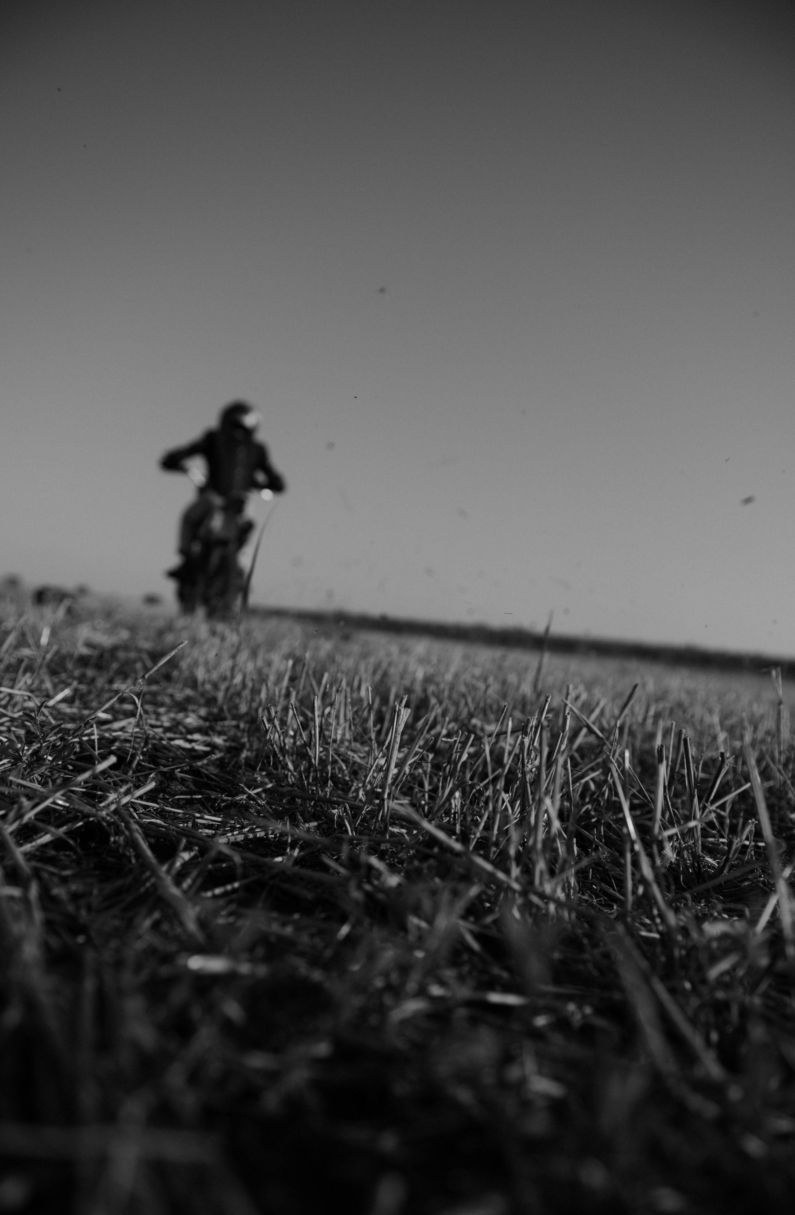 Dimon (moto). Семейный и детский фотограф в Белгороде Ольга Сорока