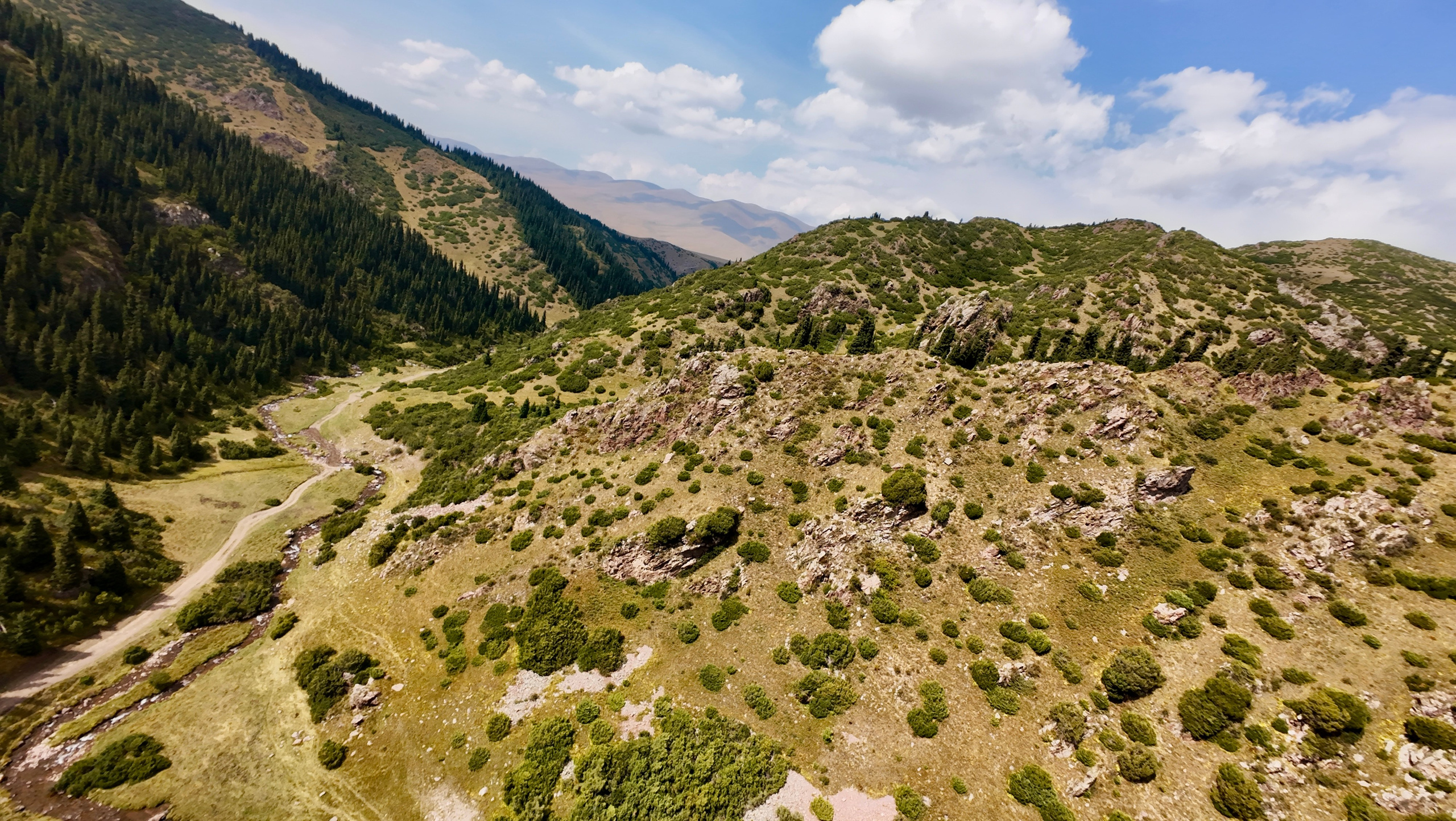 Поездка на плато Ассы и за пределами. Экскурсии и туры по Алматы