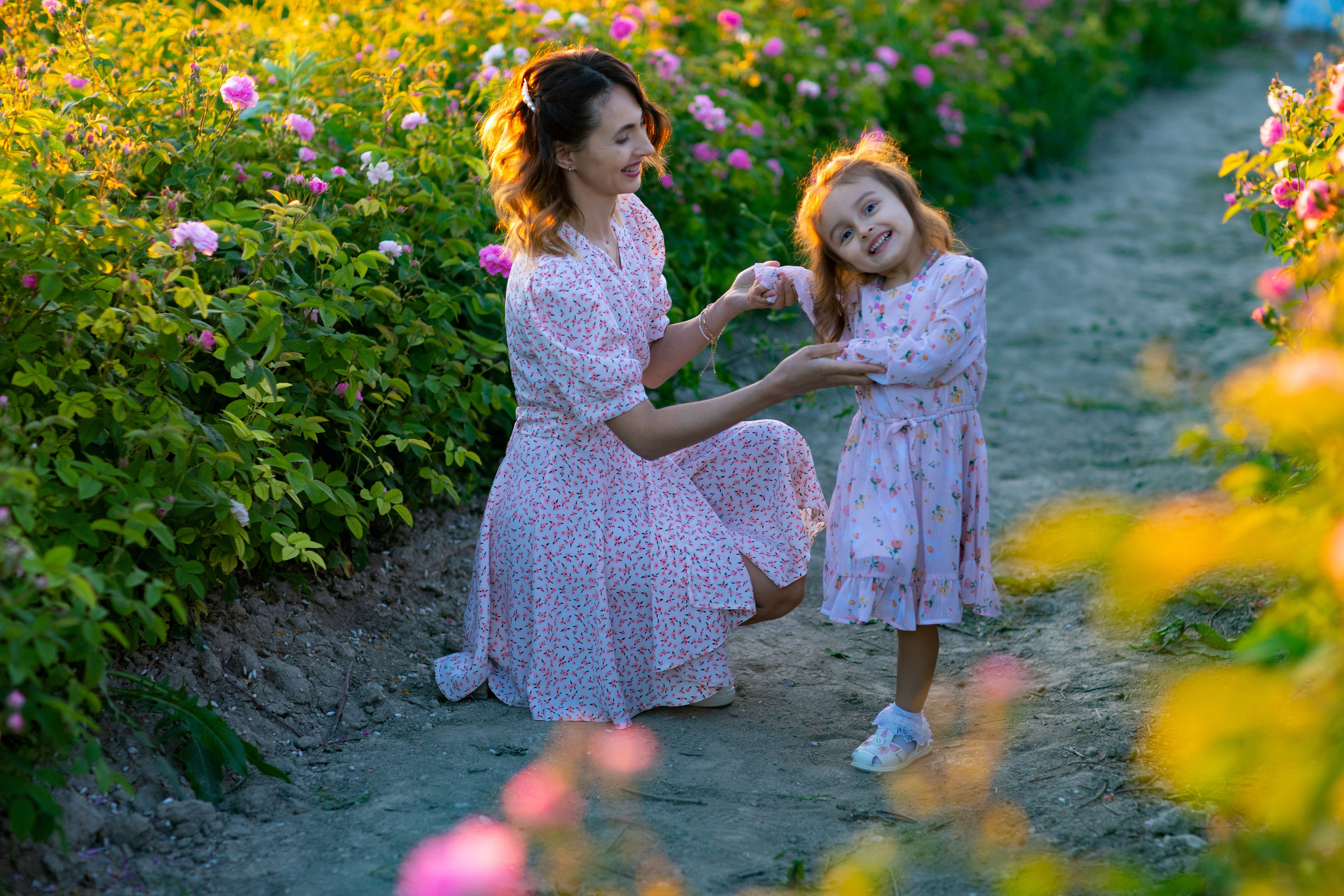 Чайная роза. Фотограф Севастополь/Крым Светлана Евтушенко