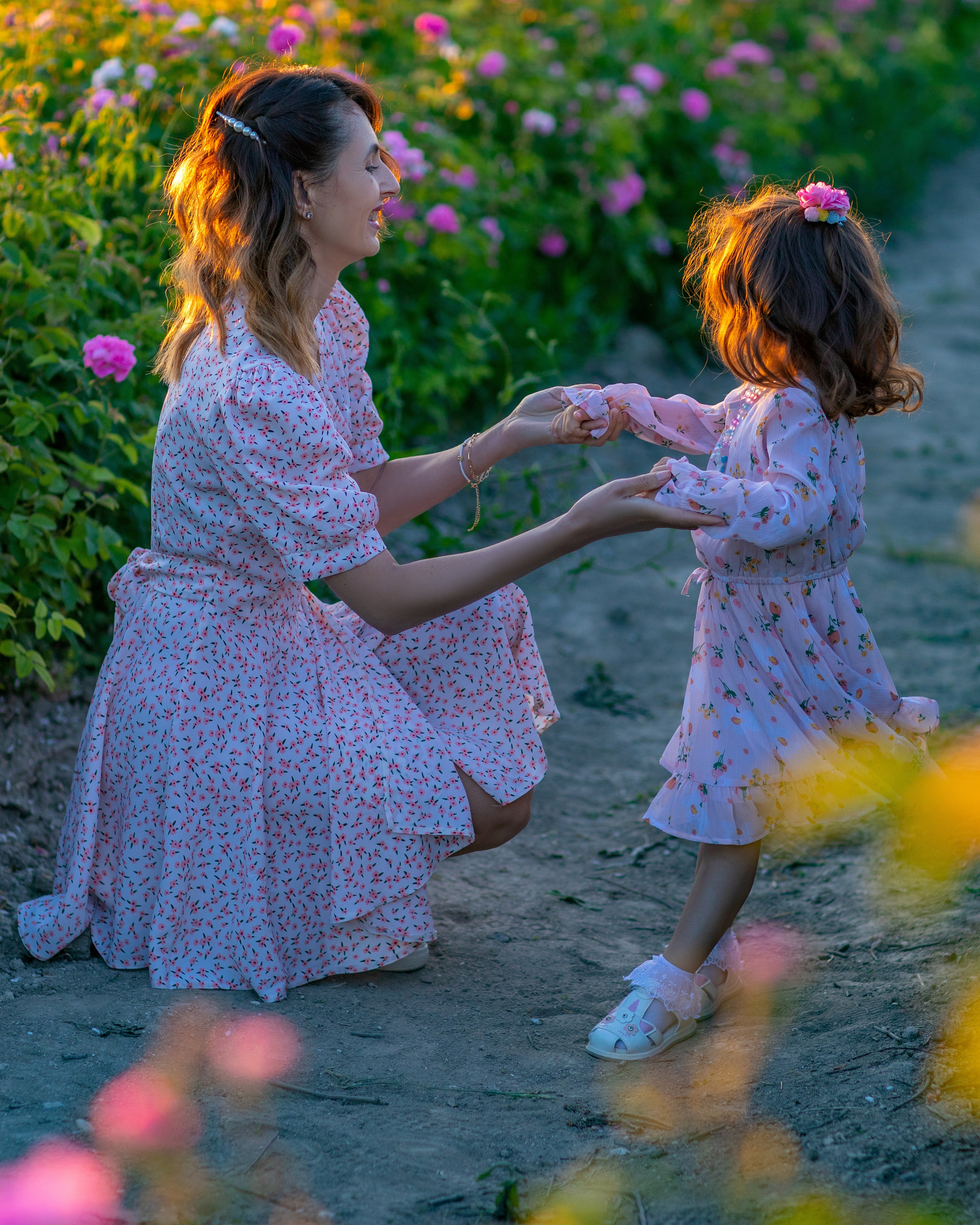 Чайная роза. Фотограф Севастополь/Крым Светлана Евтушенко