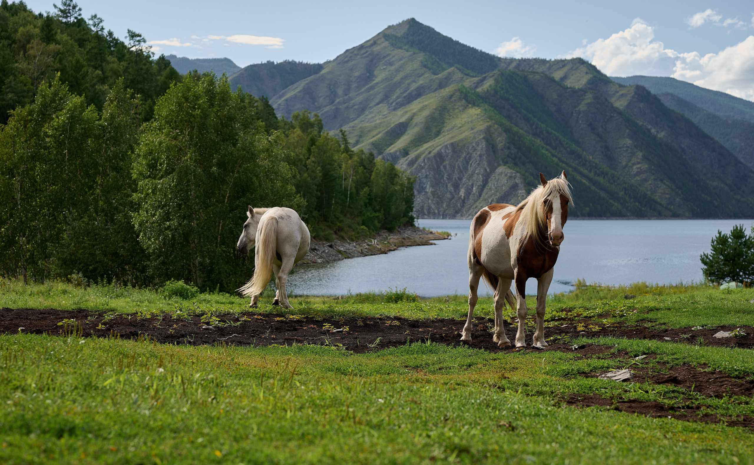 Девичник Саяны. Анна Баженовская Женский фотограф Москва