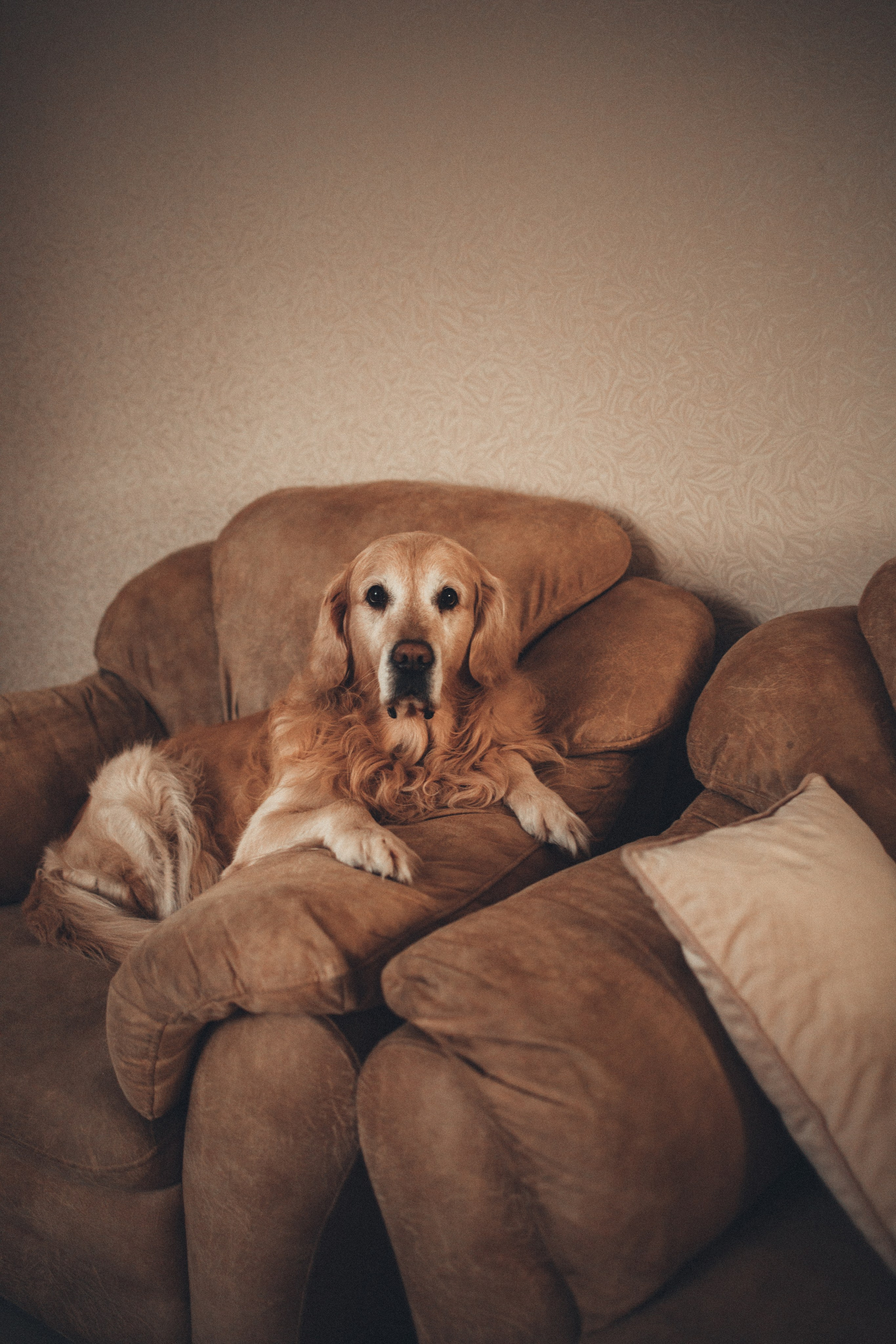 В гостях у Лёвы. Семейный lifestyle фотограф в Казани Ксения Верясова