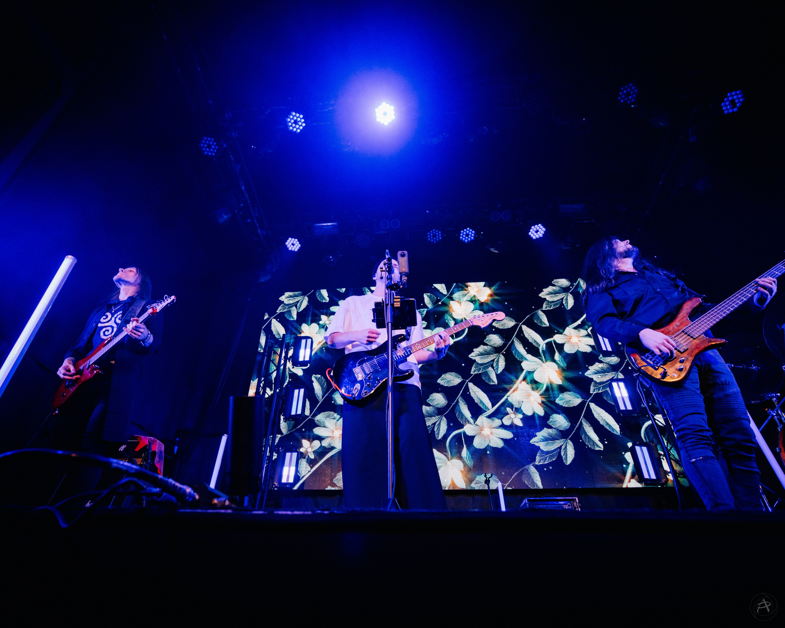 Инкогнито. Урбан. Концертный фотограф Аля Рашпиль