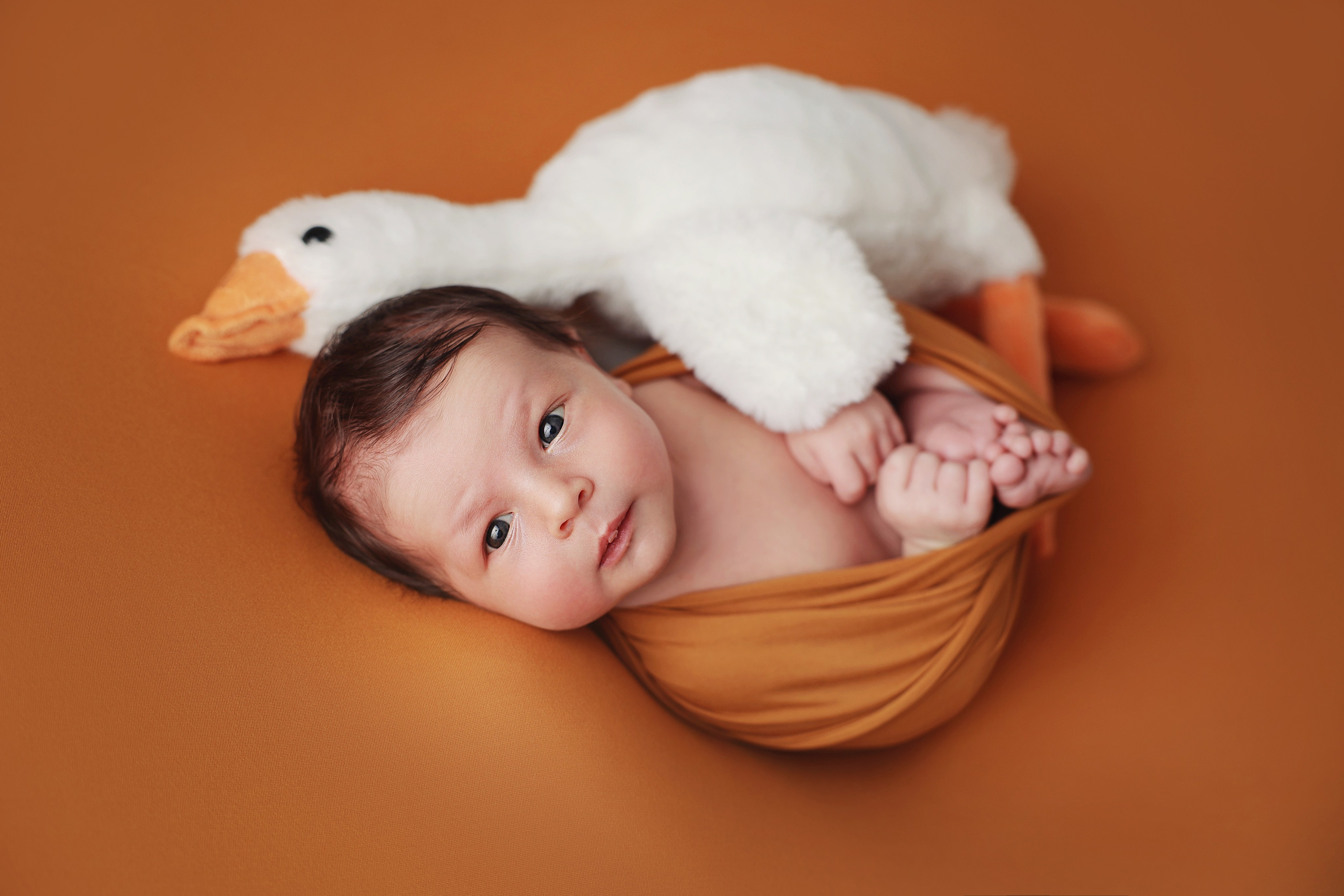 Глебушка. Фотограф новорожденных в Сочи