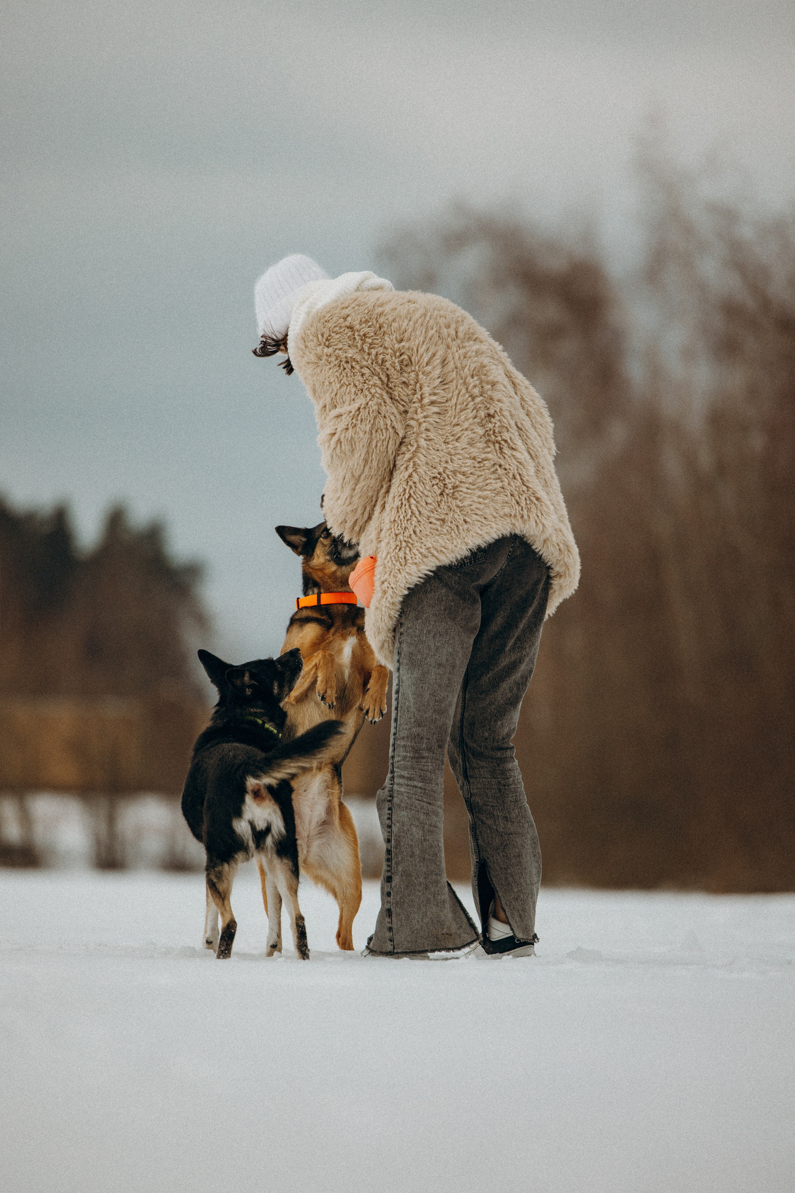 Ника, Матиша и Герда. Фотограф-анималист в Москве Лера Черноног