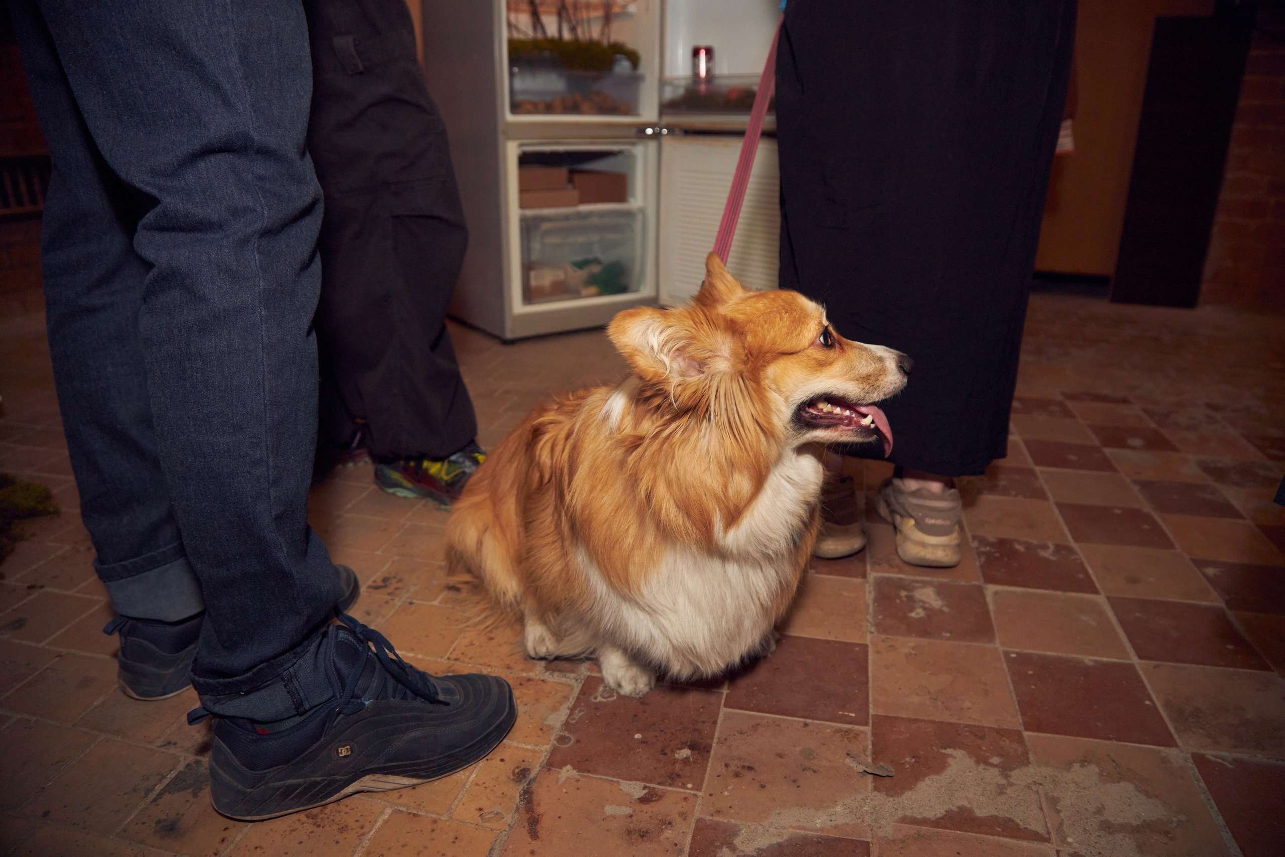 Выставка Cubo Libre. Фотограф Савченко Люба. Москва