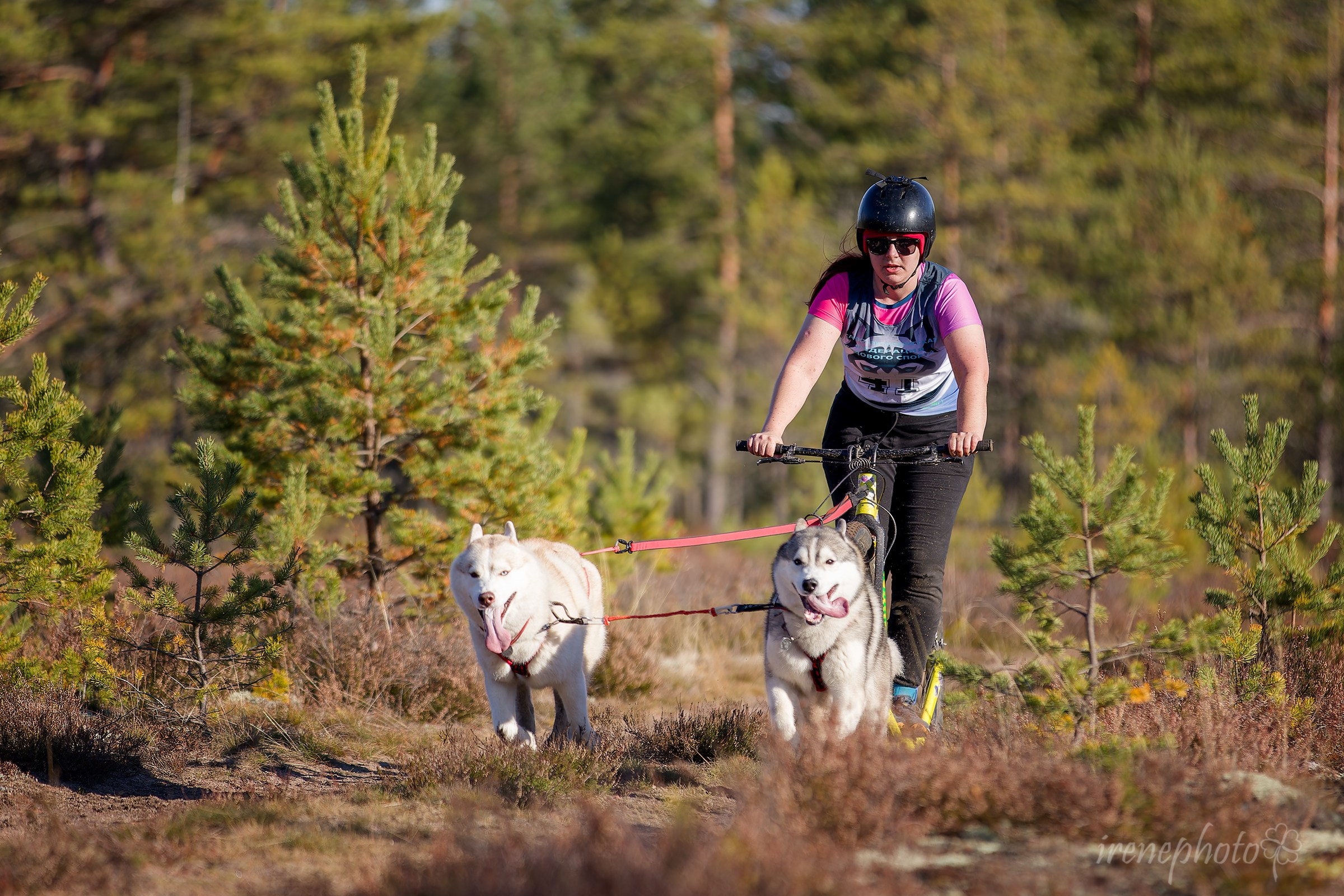 Чемпионат Санкт-Петербурга осень 2025. Irenephoto.ru