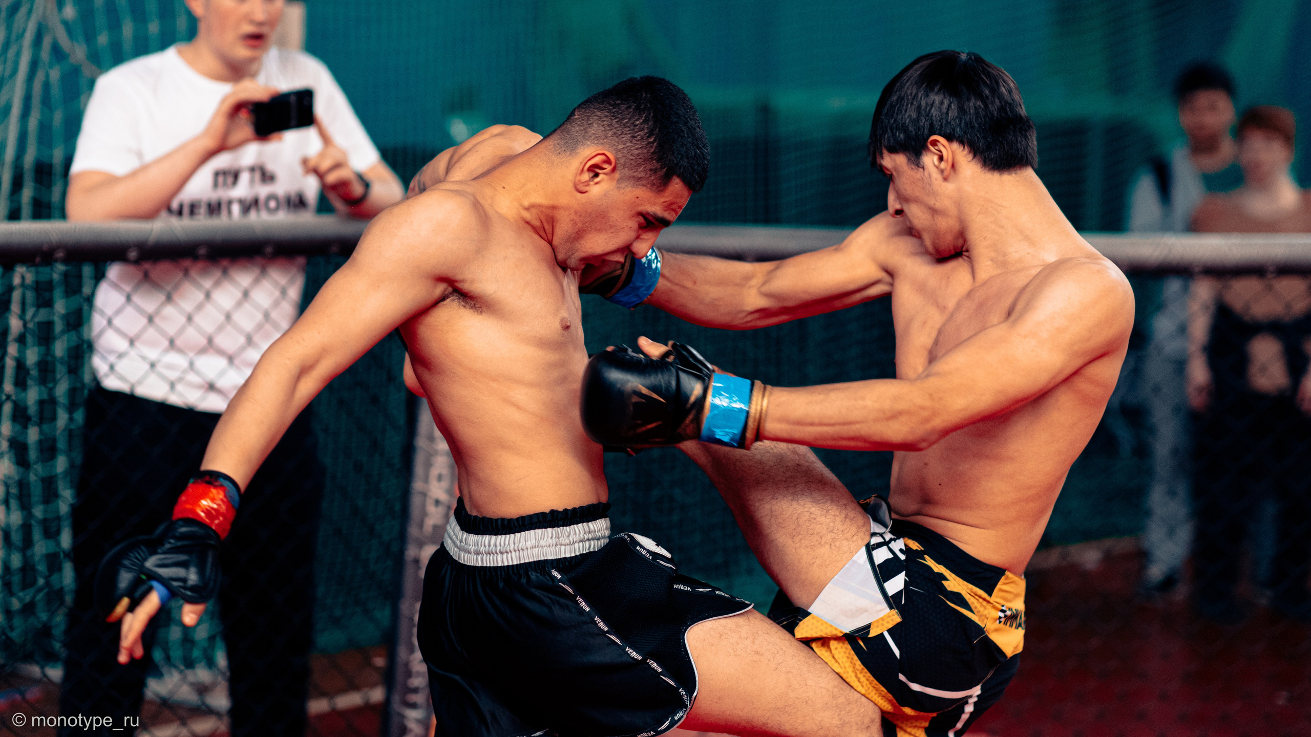 MMA. Бойцовский турнир