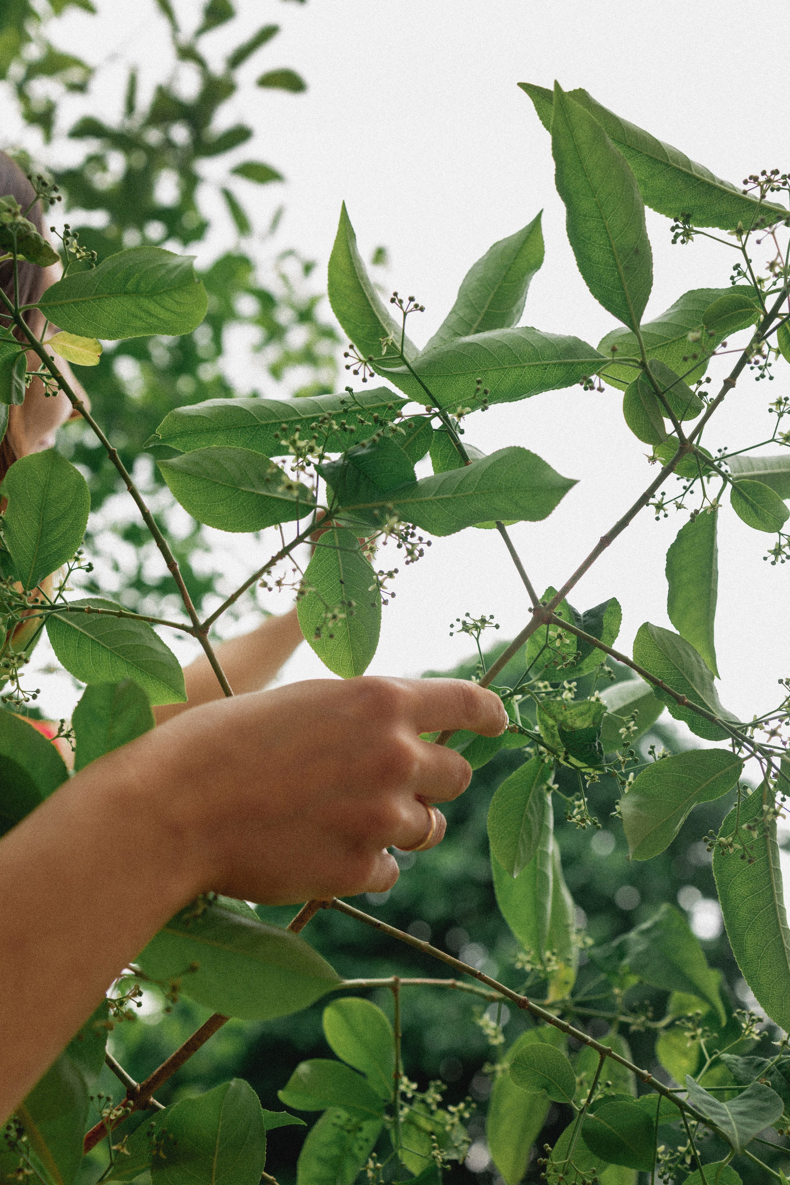 Эстетика П р о Я в л е н и я. Виноградова Маргарита. Фотограф P r o Явления