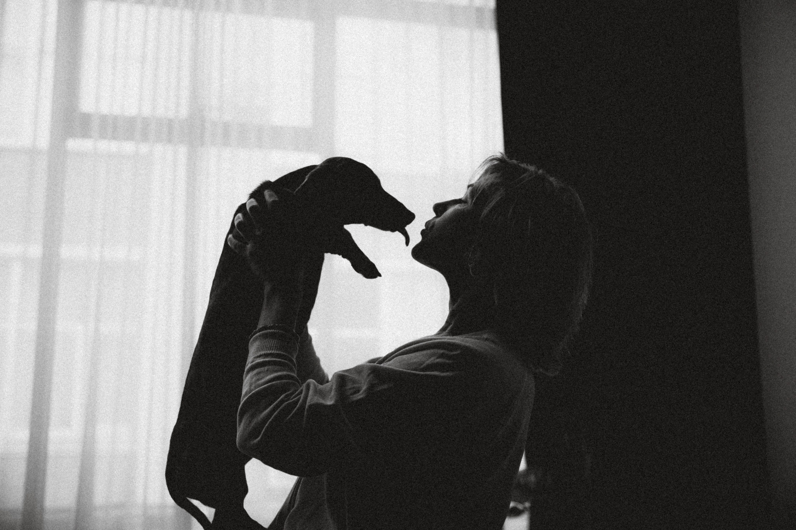 Кокос, Света, Динара и Вилли