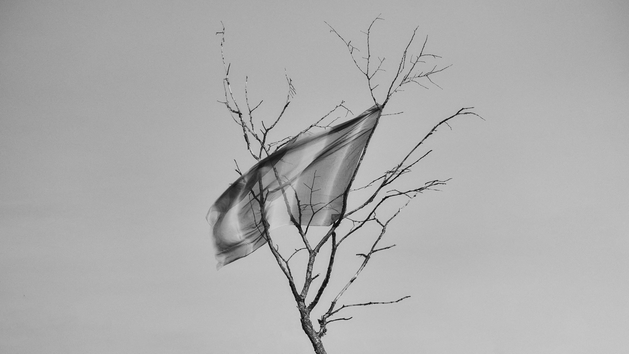 Москва в ЧБ. 23-24. Фотограф и оператор мероприятий, концертов и портретов в городе Москва