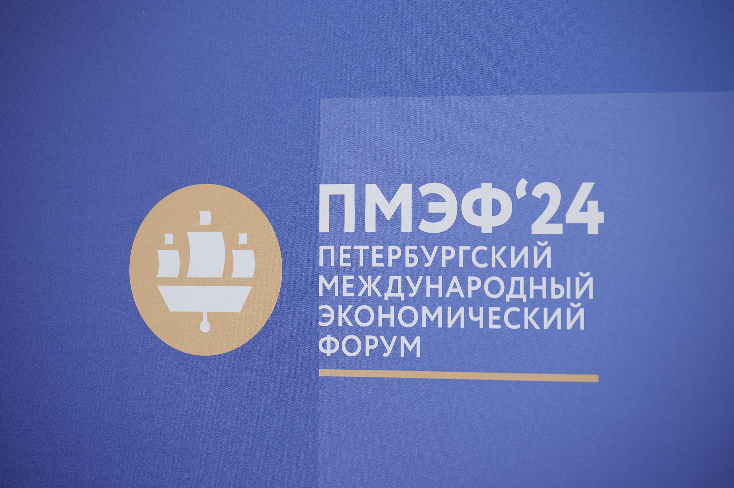 Фотосъемка Петербургского Медународного Экономического Форума