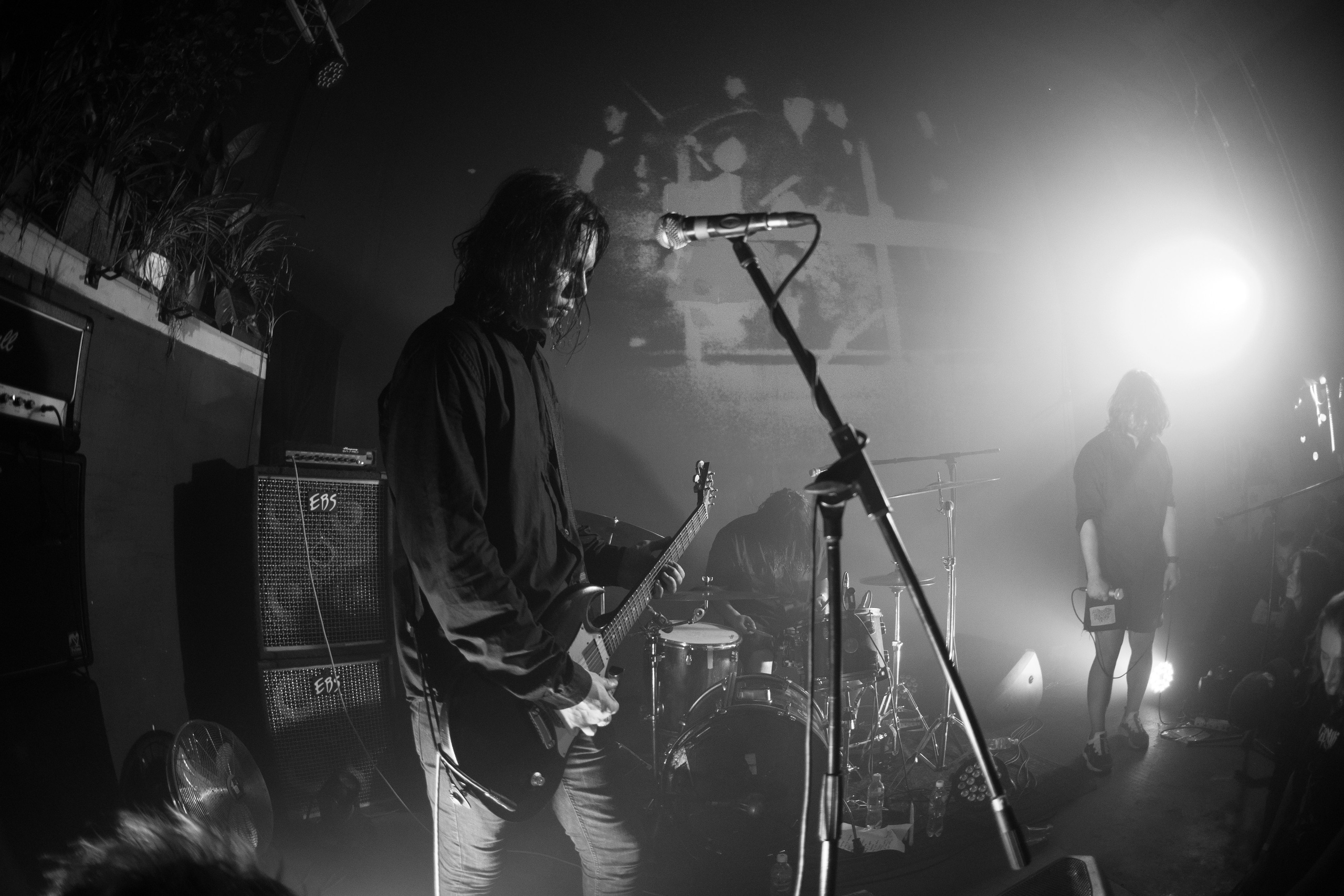 Шторм|Ласточка. Концертный и репортажный фотограф в Санкт-Петербурге Слава Пахомов