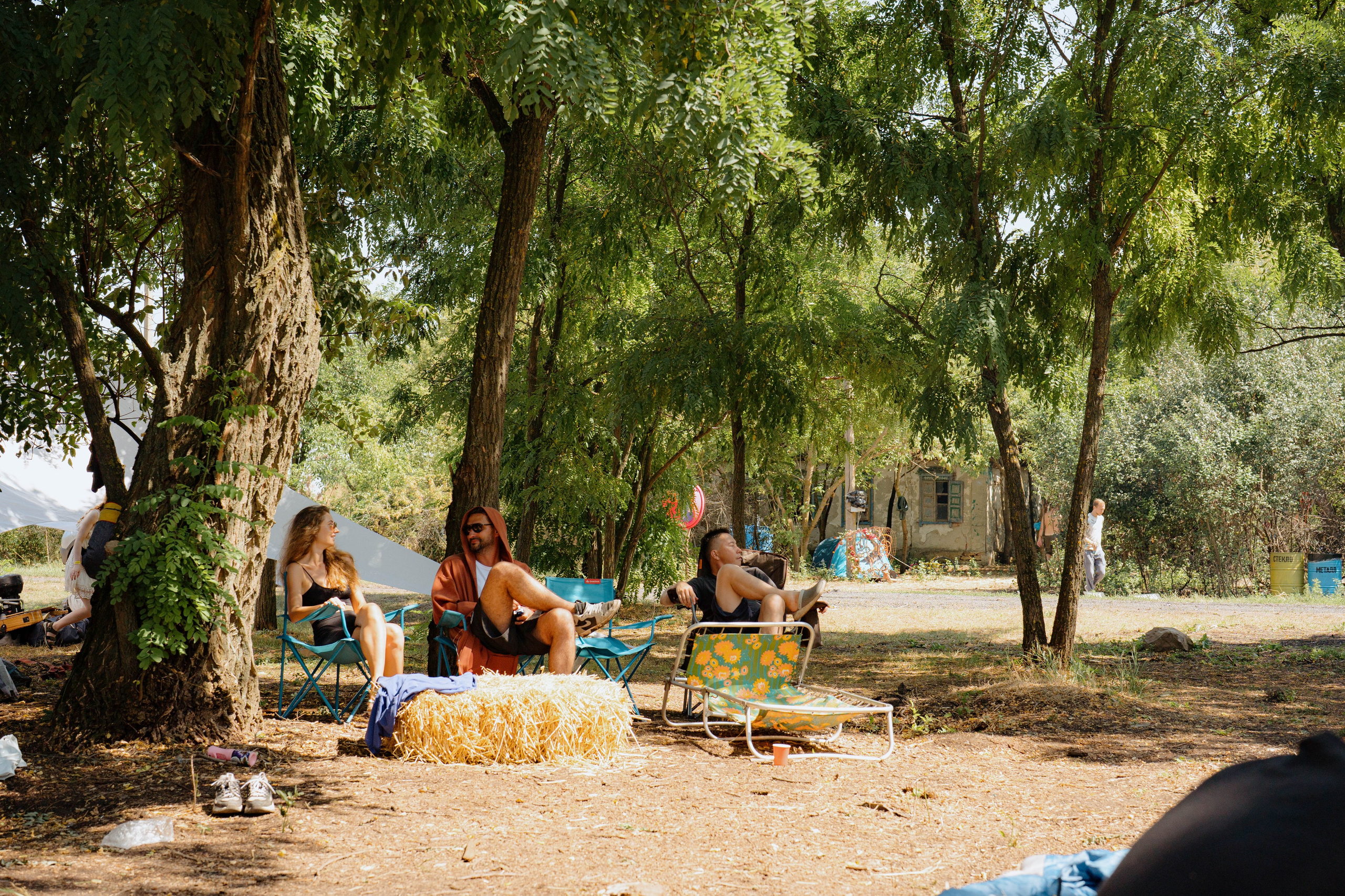 ASS FAMILY | СОН В ДЕРЕВНЕ | АВИАРЕЖИМ 8.0