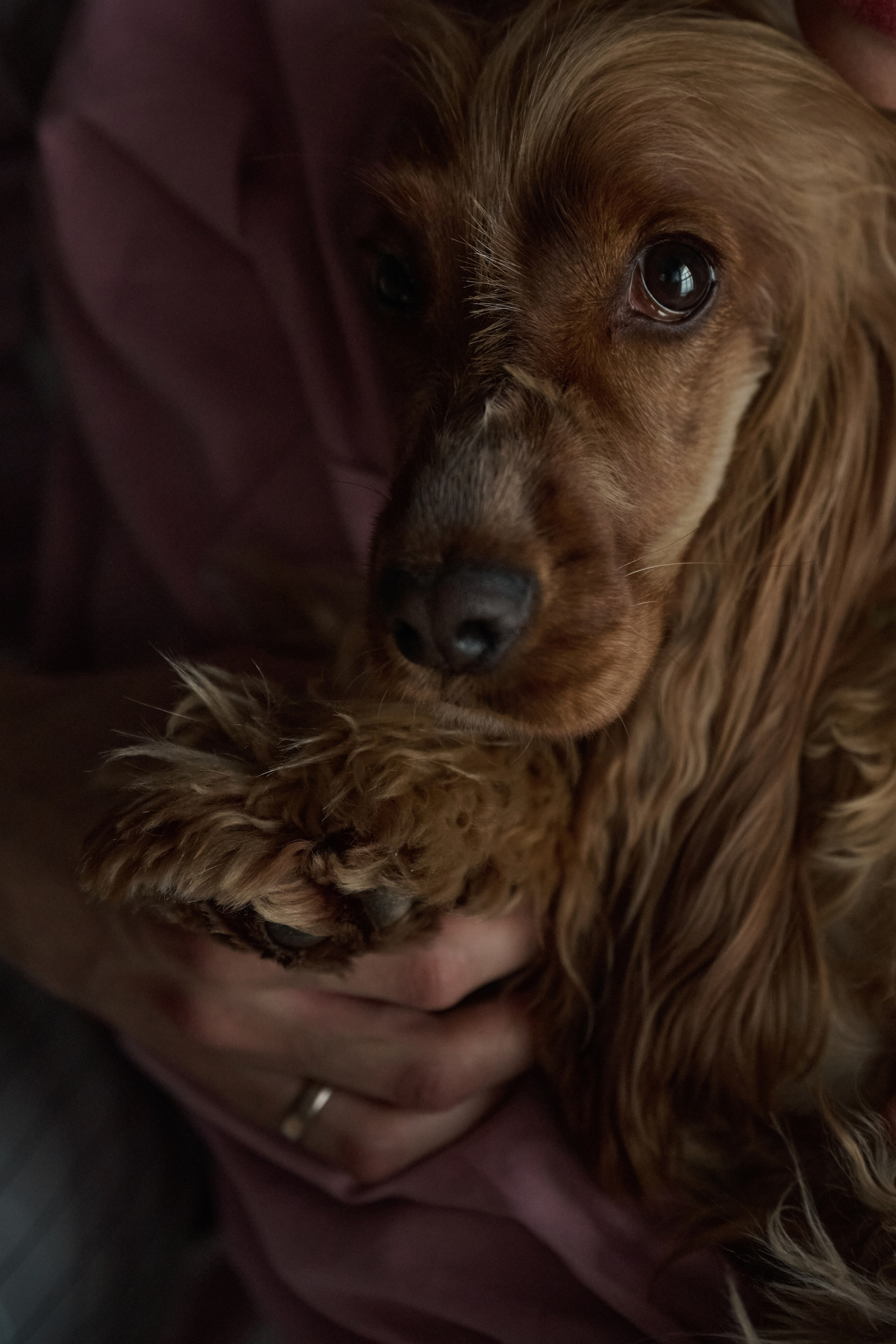Егор и Аня. Свадебный фотограф МОСКВА, КРЫМ, СМОЛЕНСК АЛЯ КОНОВАЛОВА