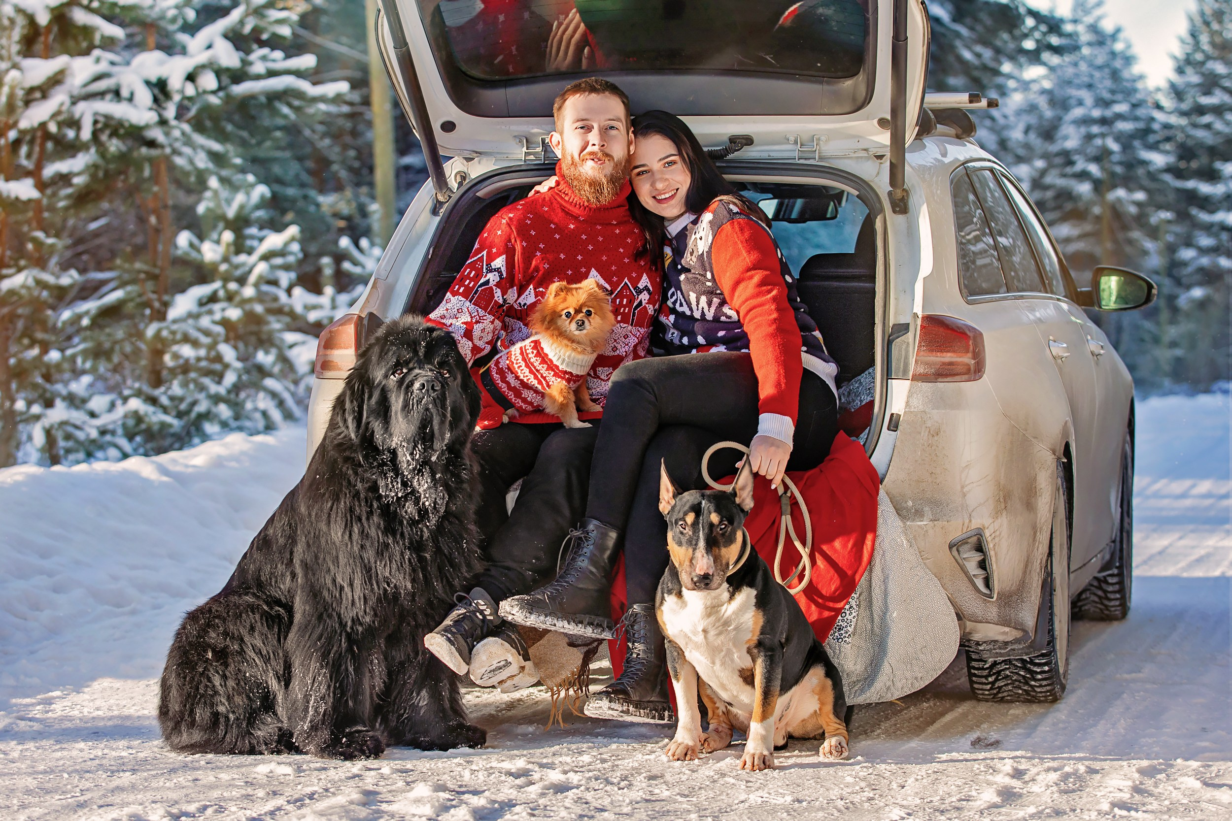 семья зимним ясным утром