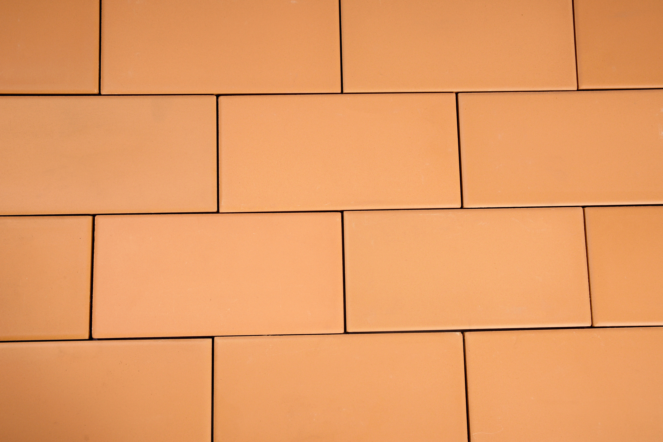 Профессиональный фотограф. Рекламная, коммерческая фотосъёмка. Вячеслав Скрипник Фотограф Краснодар