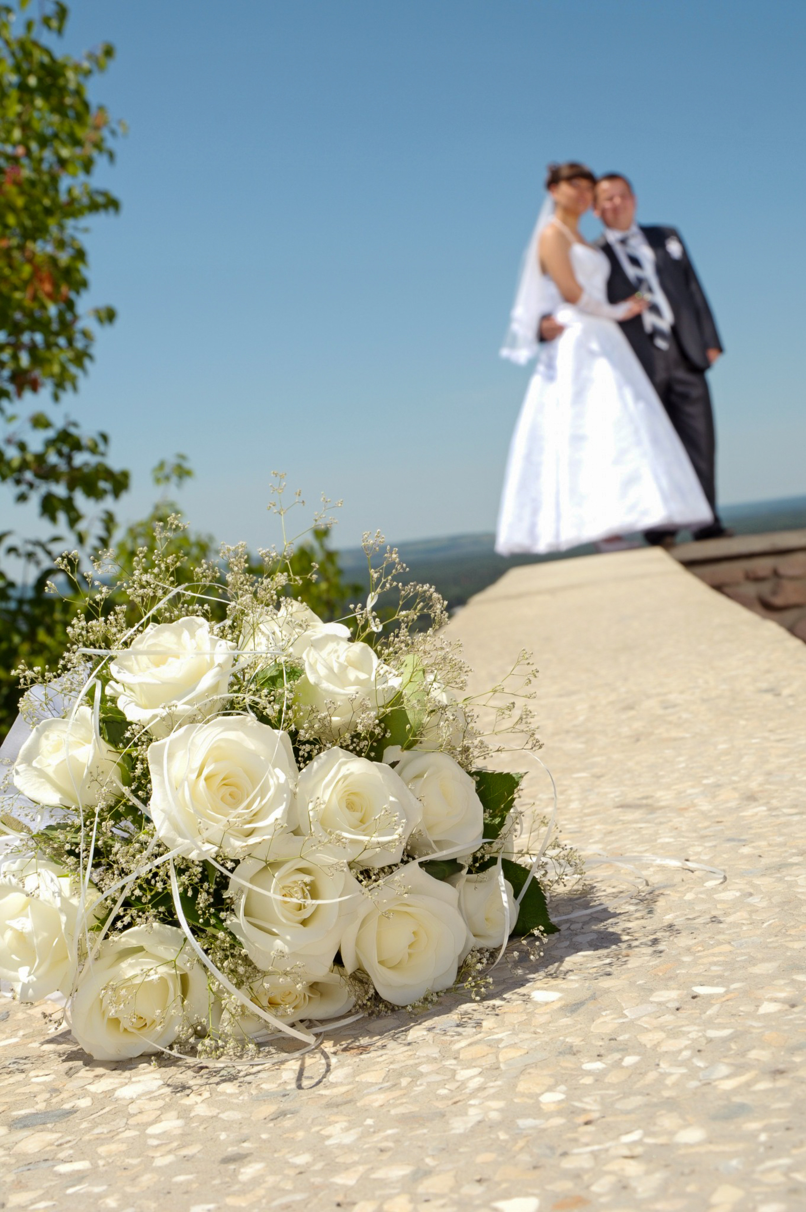 Профессиональный фотограф на свадьбу. Вячеслав Скрипник Фотограф Краснодар