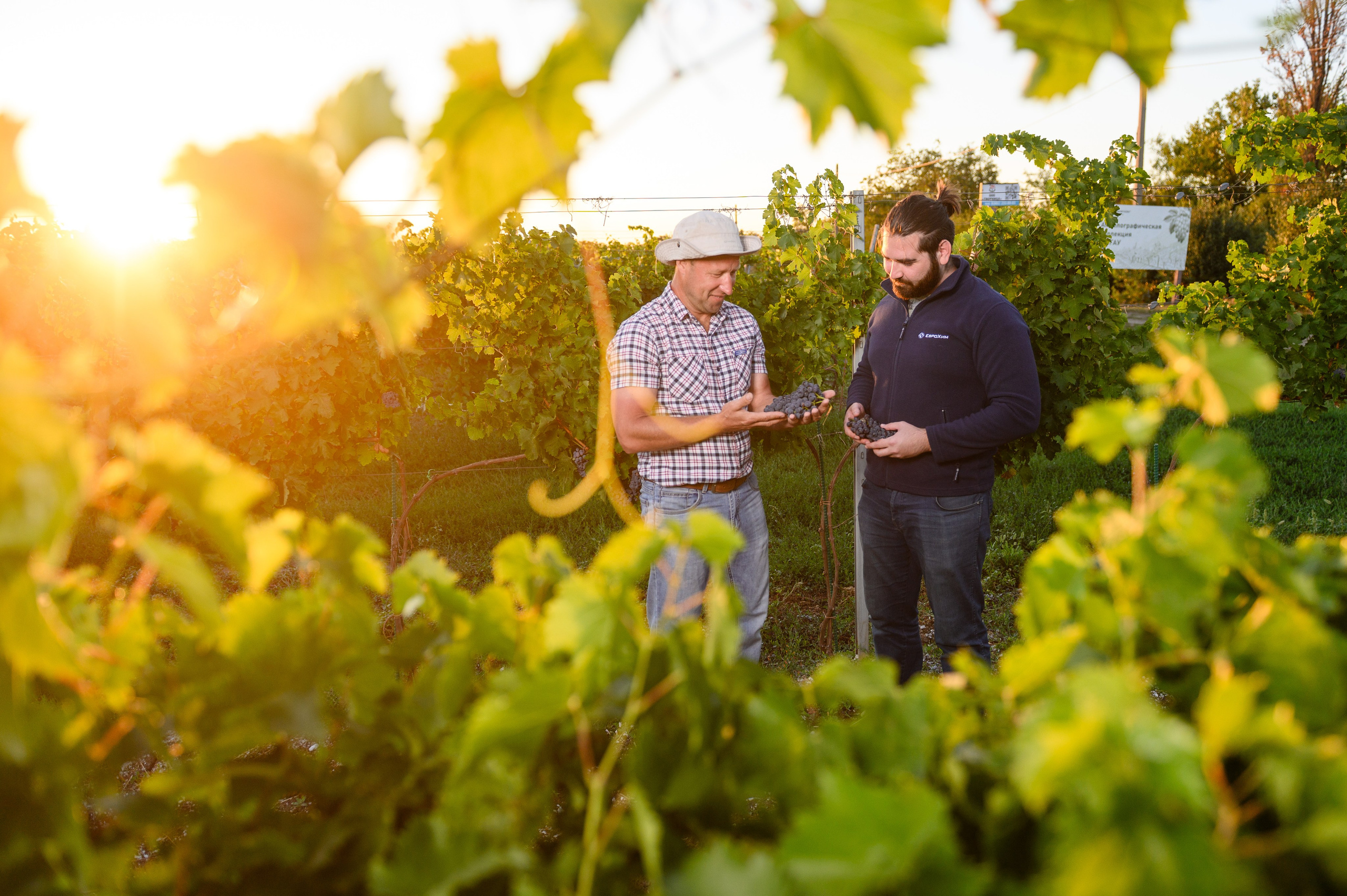 Проекты. Профессиональный фотограф Вячеслав Плацында | Липецк |