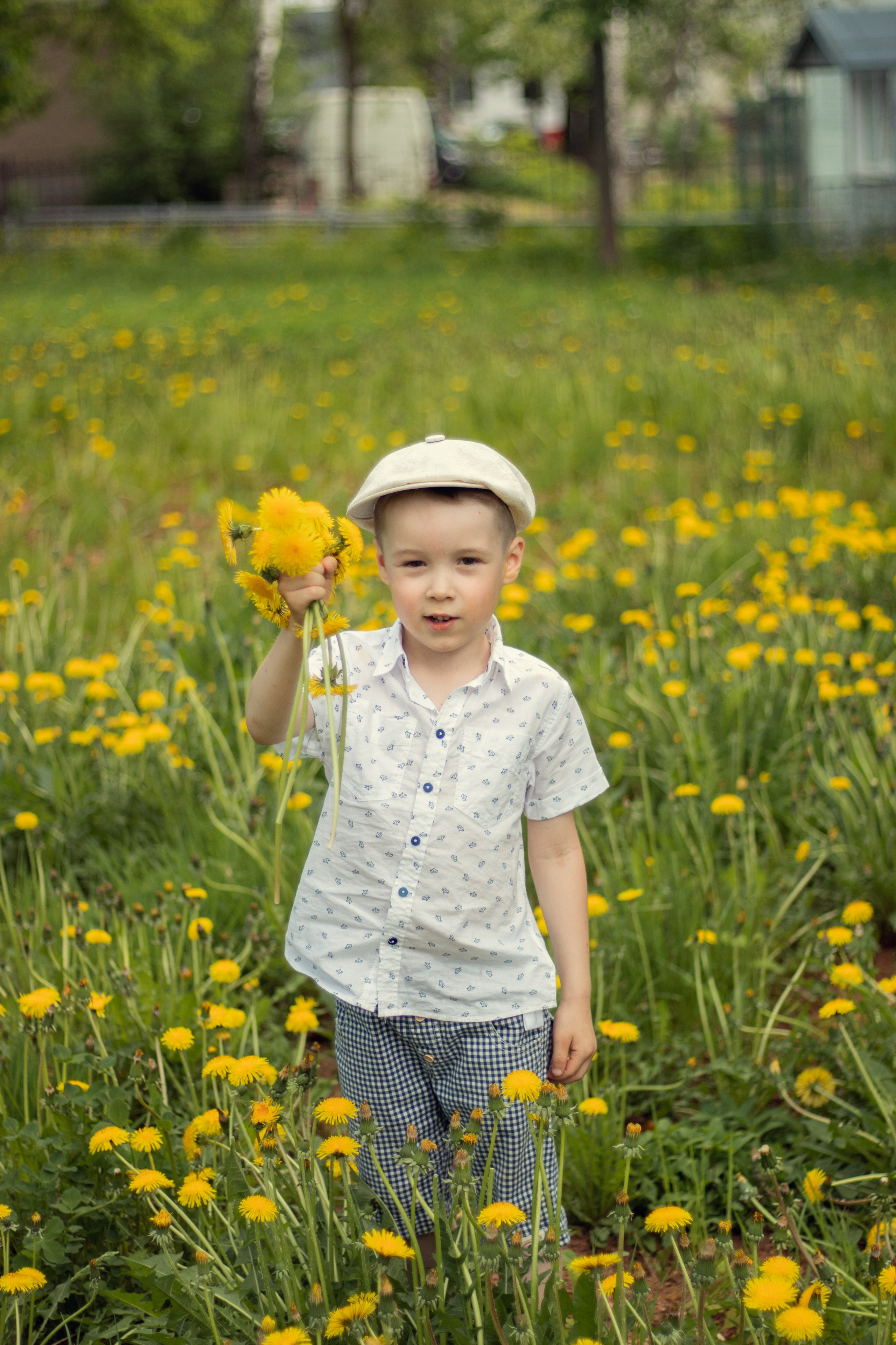 Одуванчиковое настроение