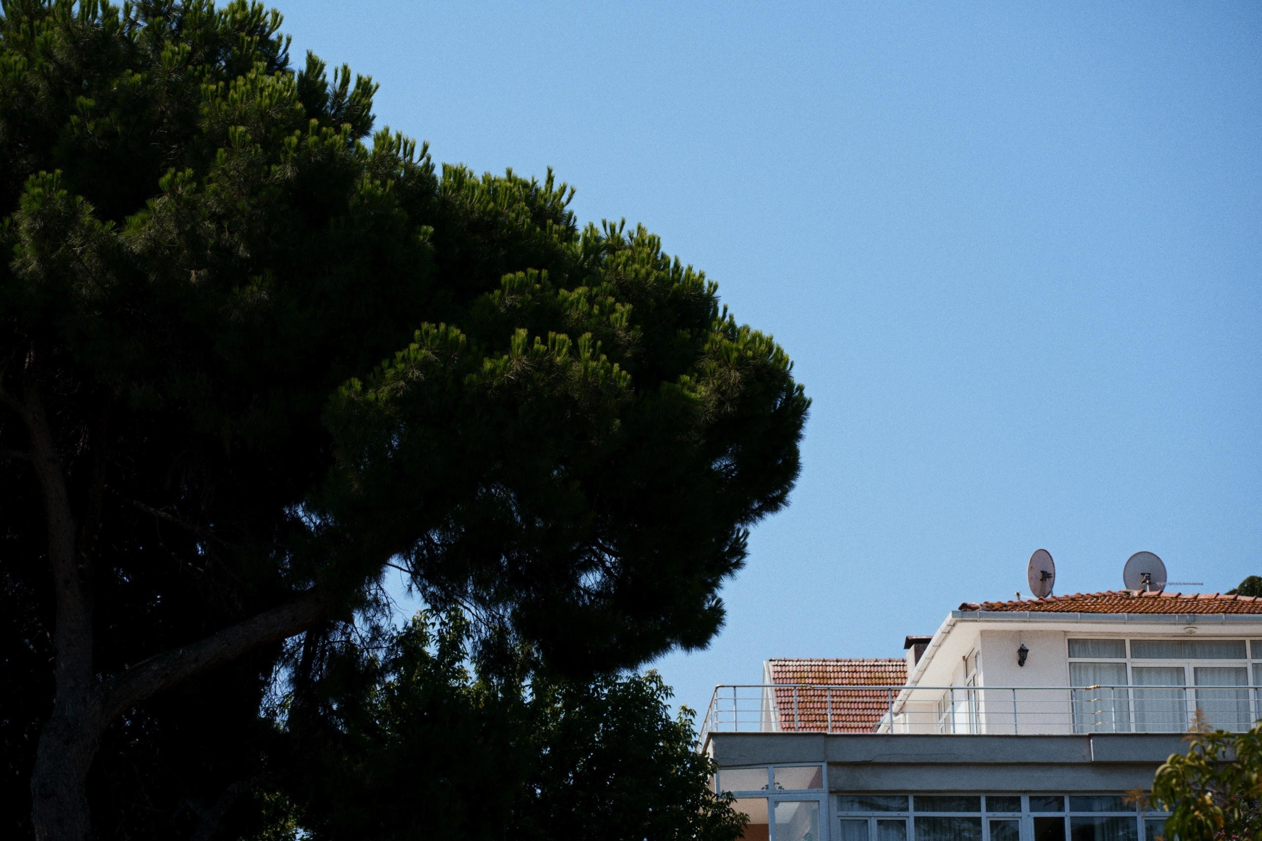 Büyükada х Heybeliada, Istanbul / Türkey SS25. Фотограф Юрин Евгений