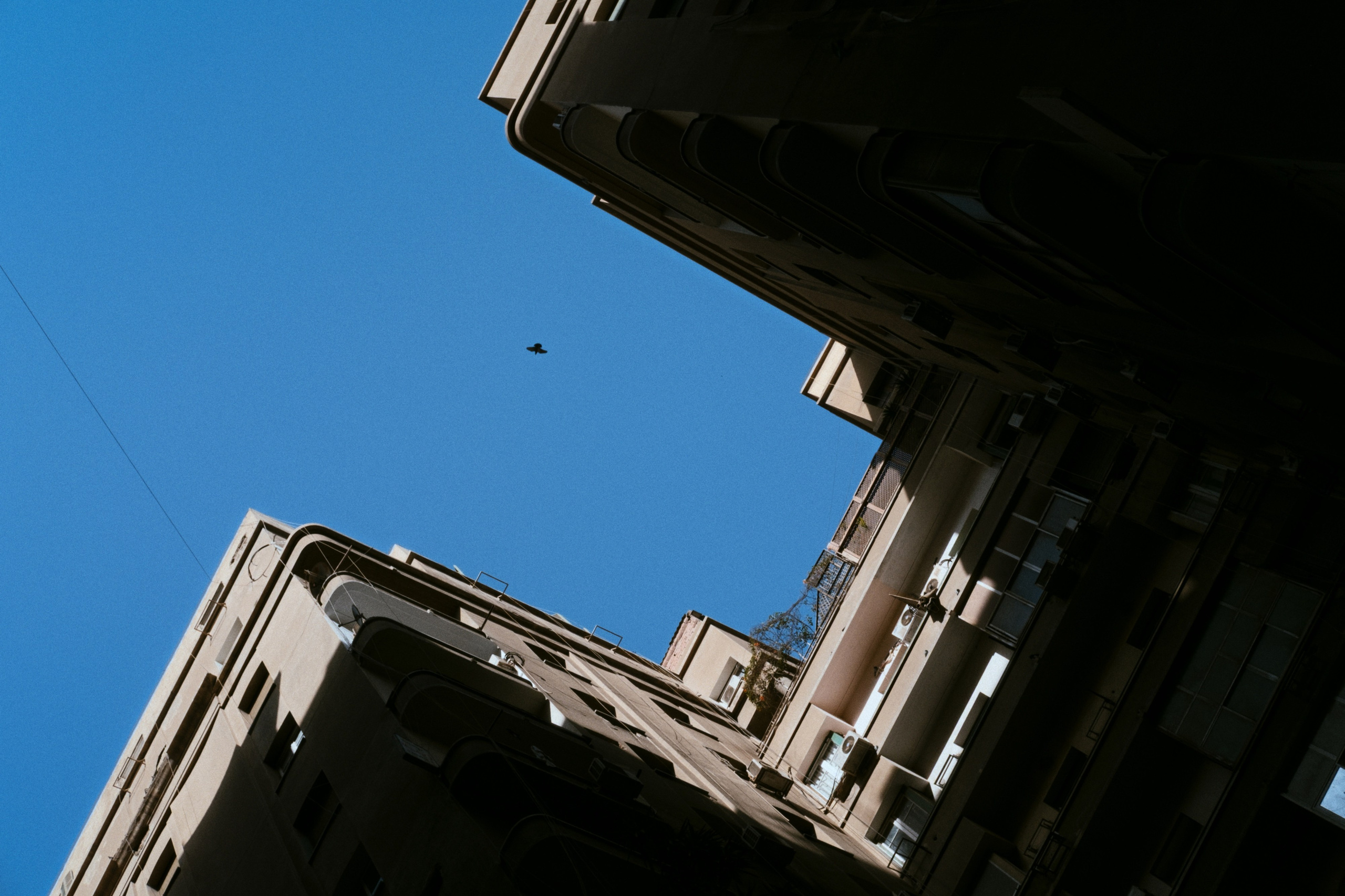 Cairo / Egypt AW25. Фотограф Юрин Евгений