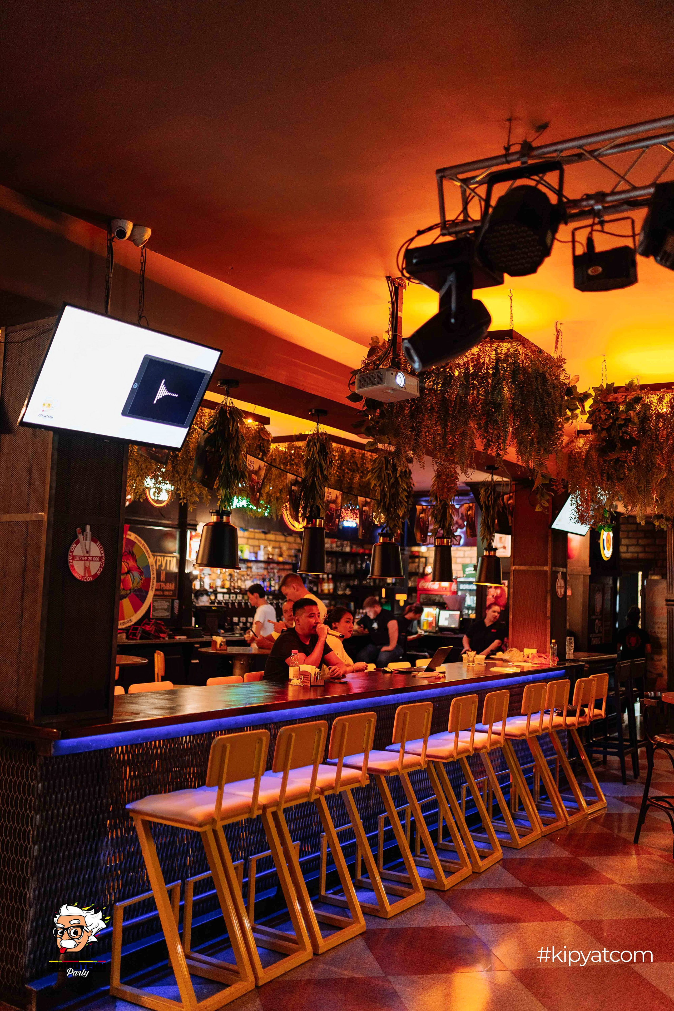 Эйнштейн Party