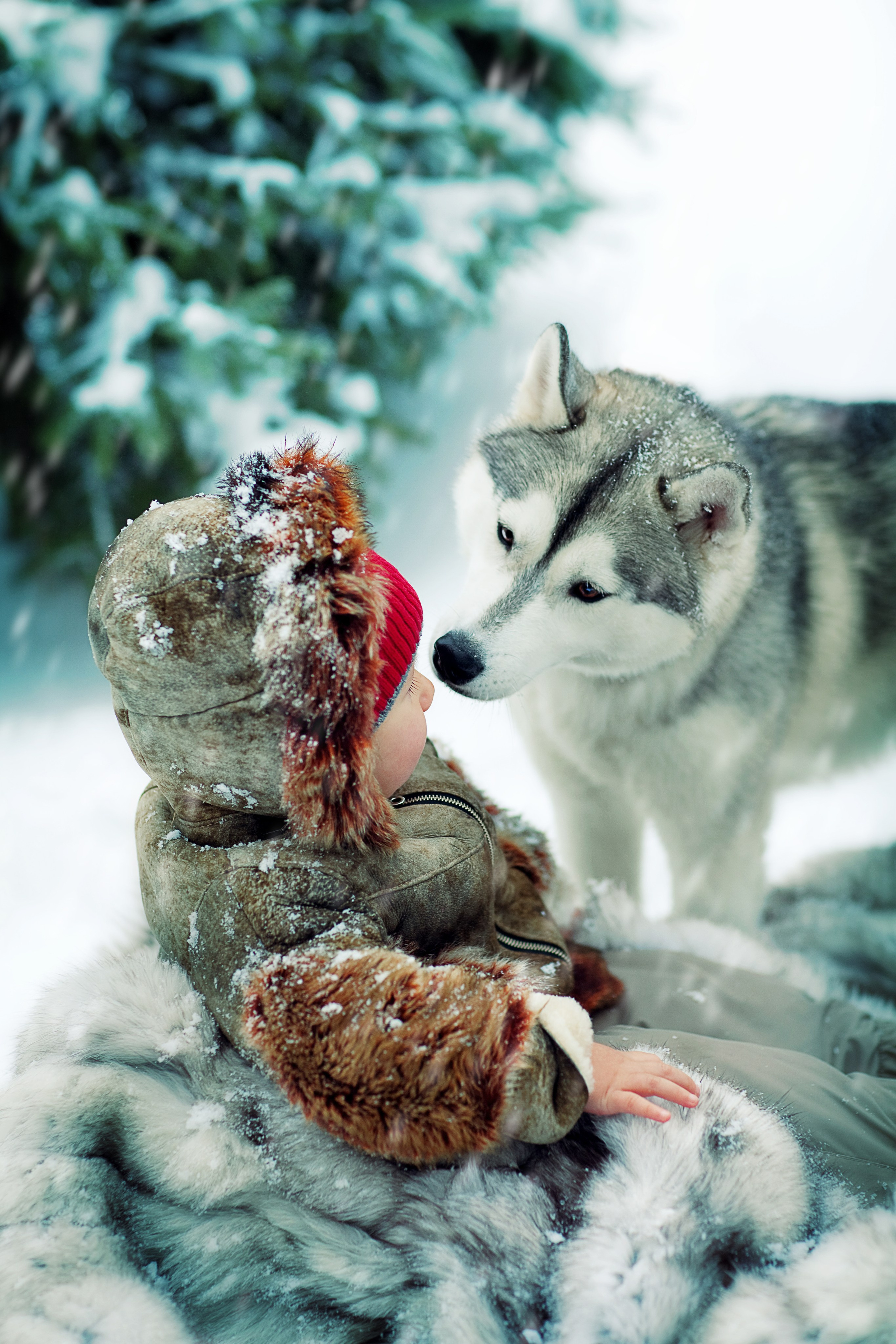 Портфолио. Карнеева Елена. Детский, семейный фотограф