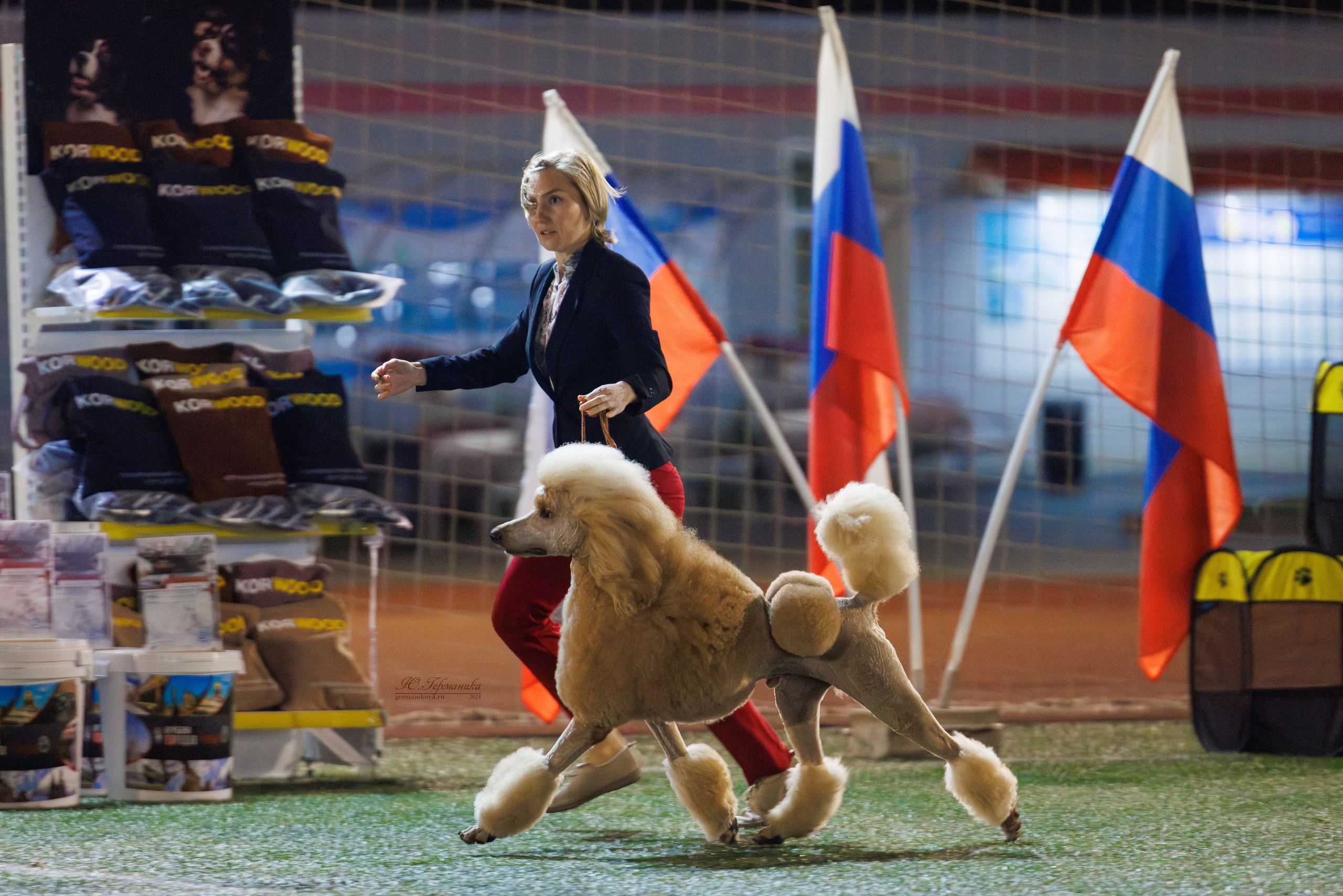 Волгоград 2-4.08.2024. Фотограф-анималист Юлия Германика
