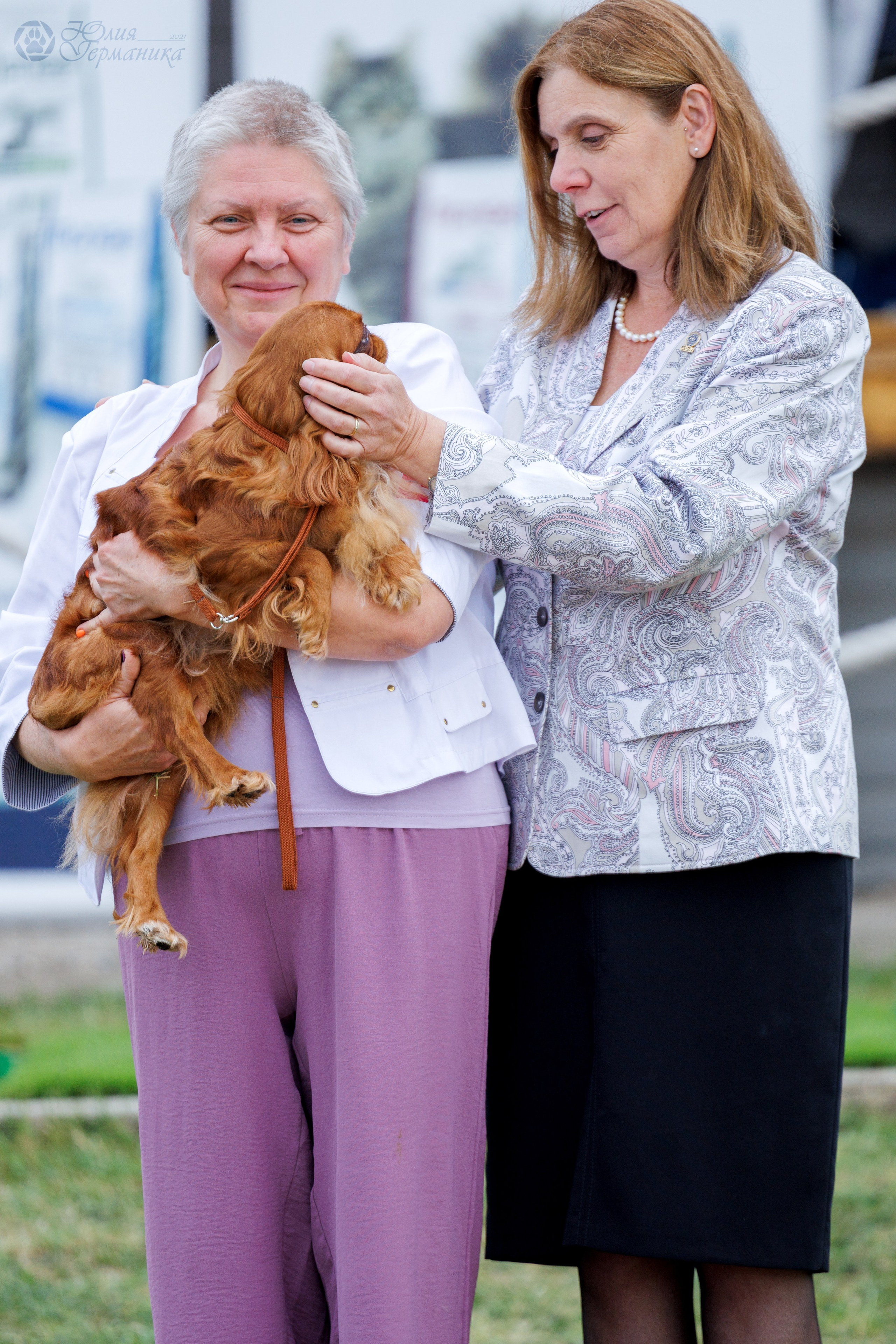 Армения,Ереван 3хCACIB 15-17.10.2024. Фотограф-анималист Юлия Германика